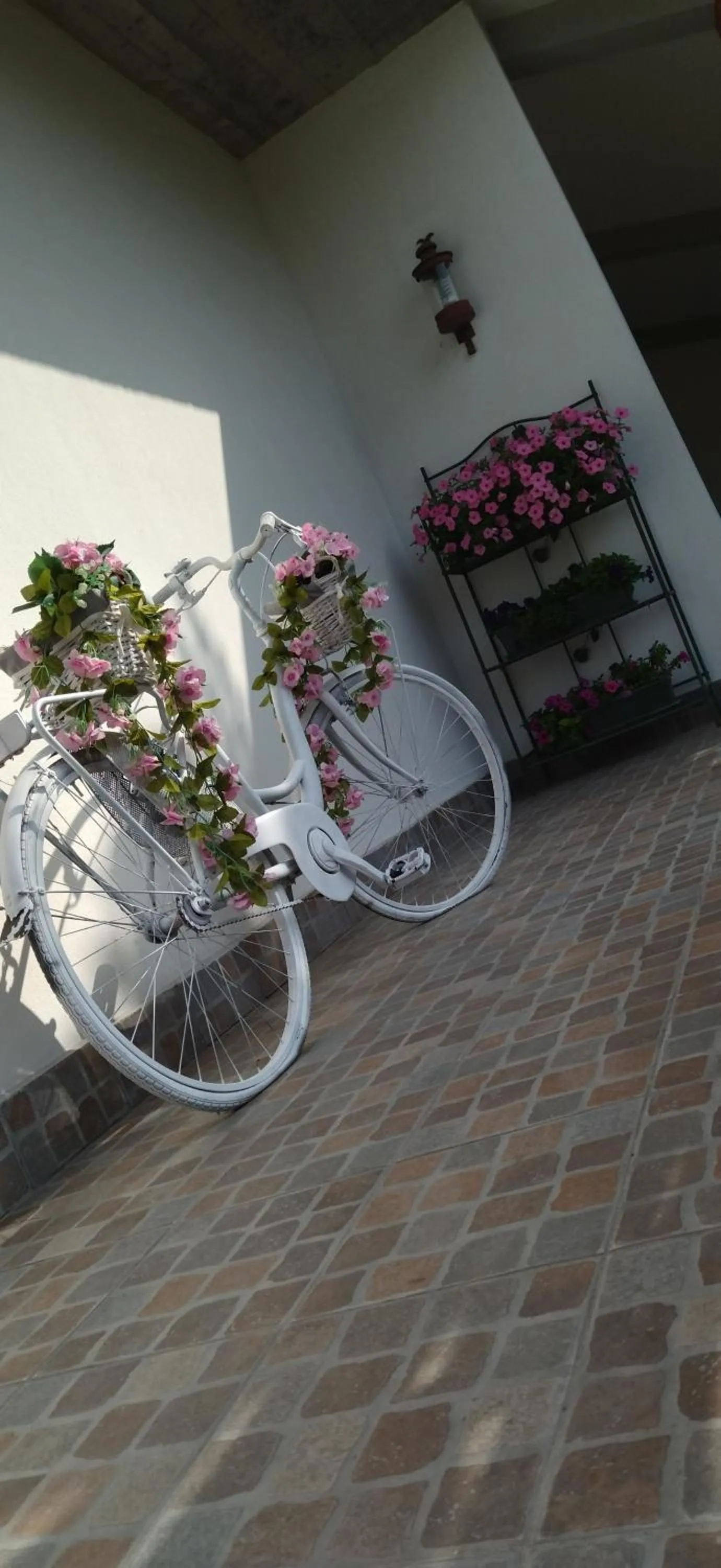 Day in VILLA MOLINELLA