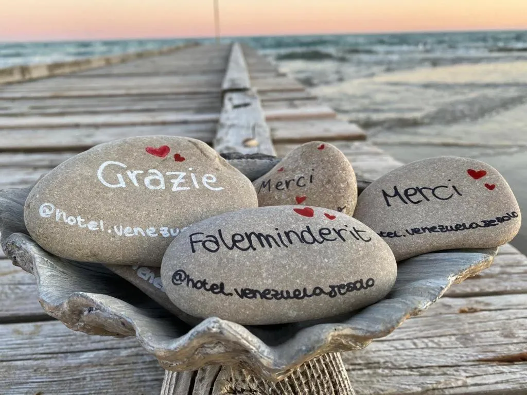 Natural landscape in Hotel Venezuela