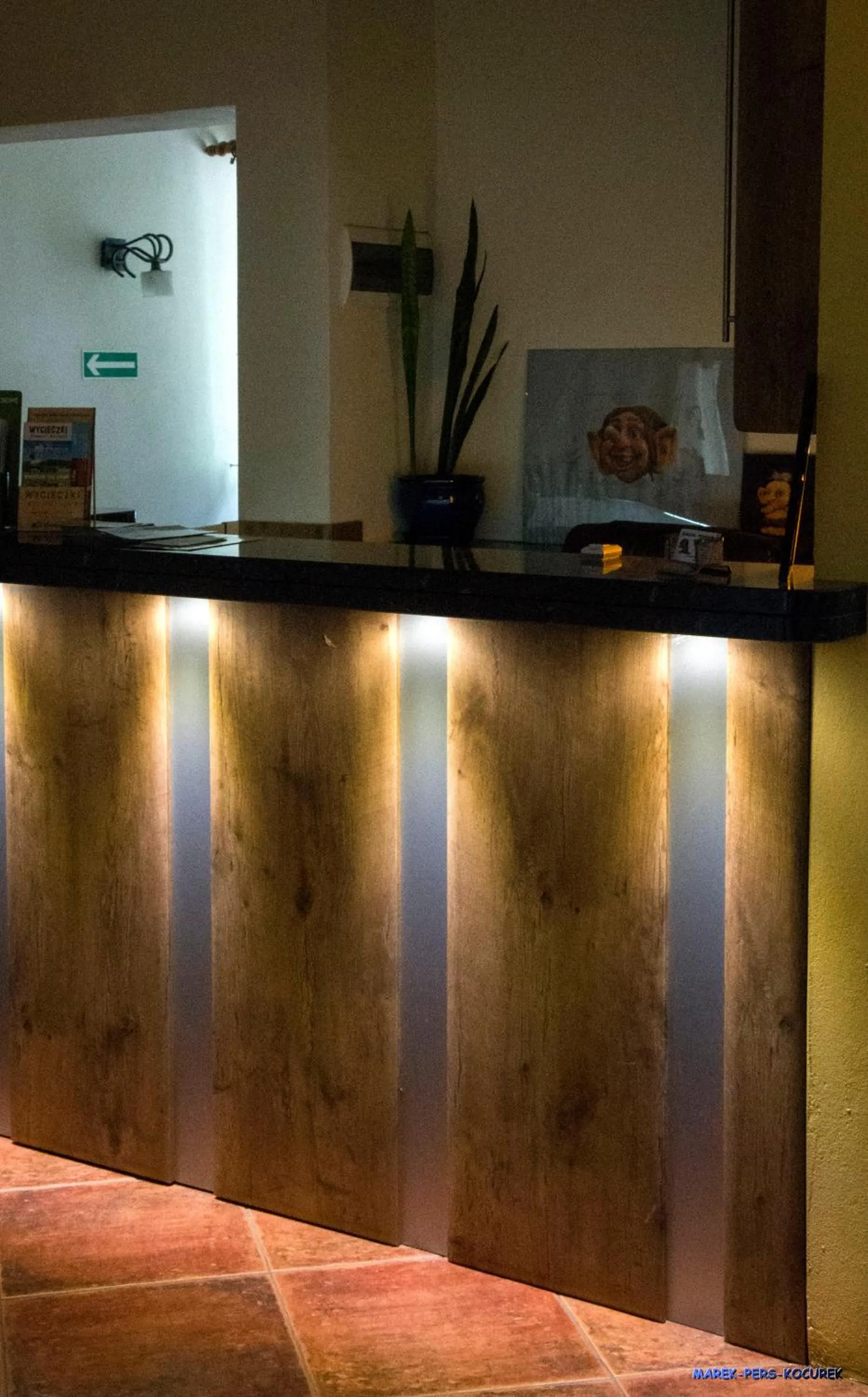 Lobby or reception in Troll