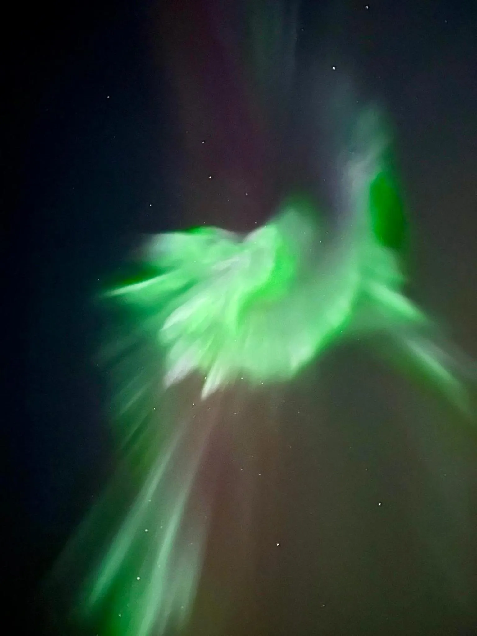 Night in Arctic Shaman Adventures -Jurtta