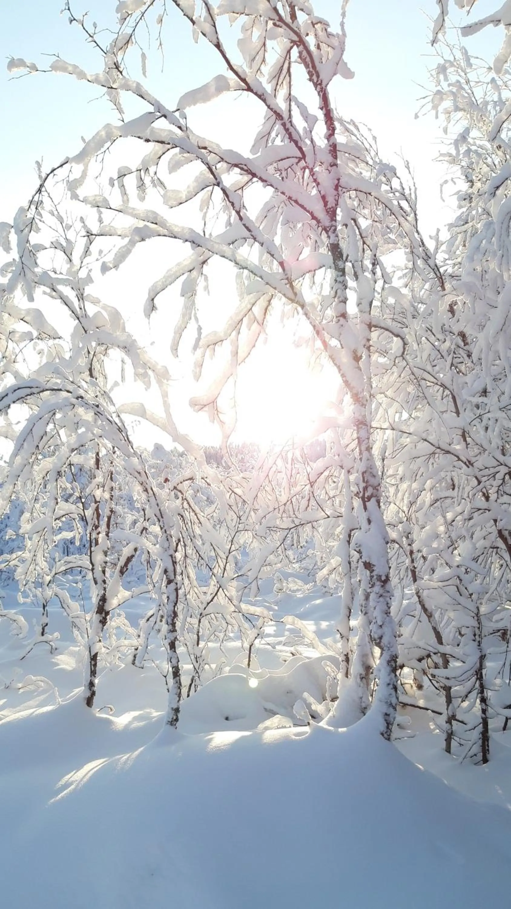 Winter in Arctic Shaman Adventures -Jurtta