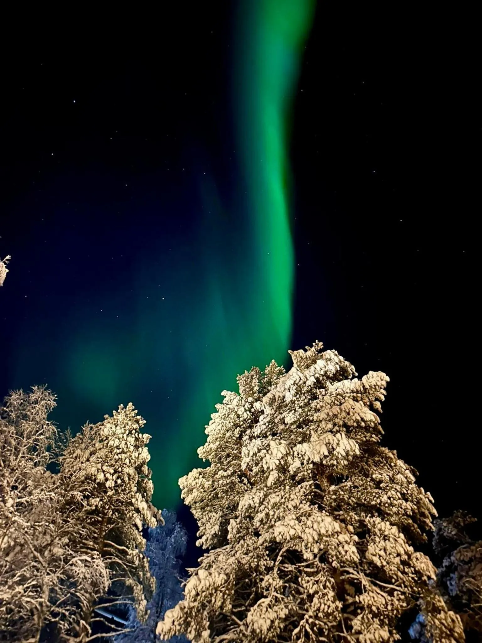 Night in Arctic Shaman Adventures -Jurtta