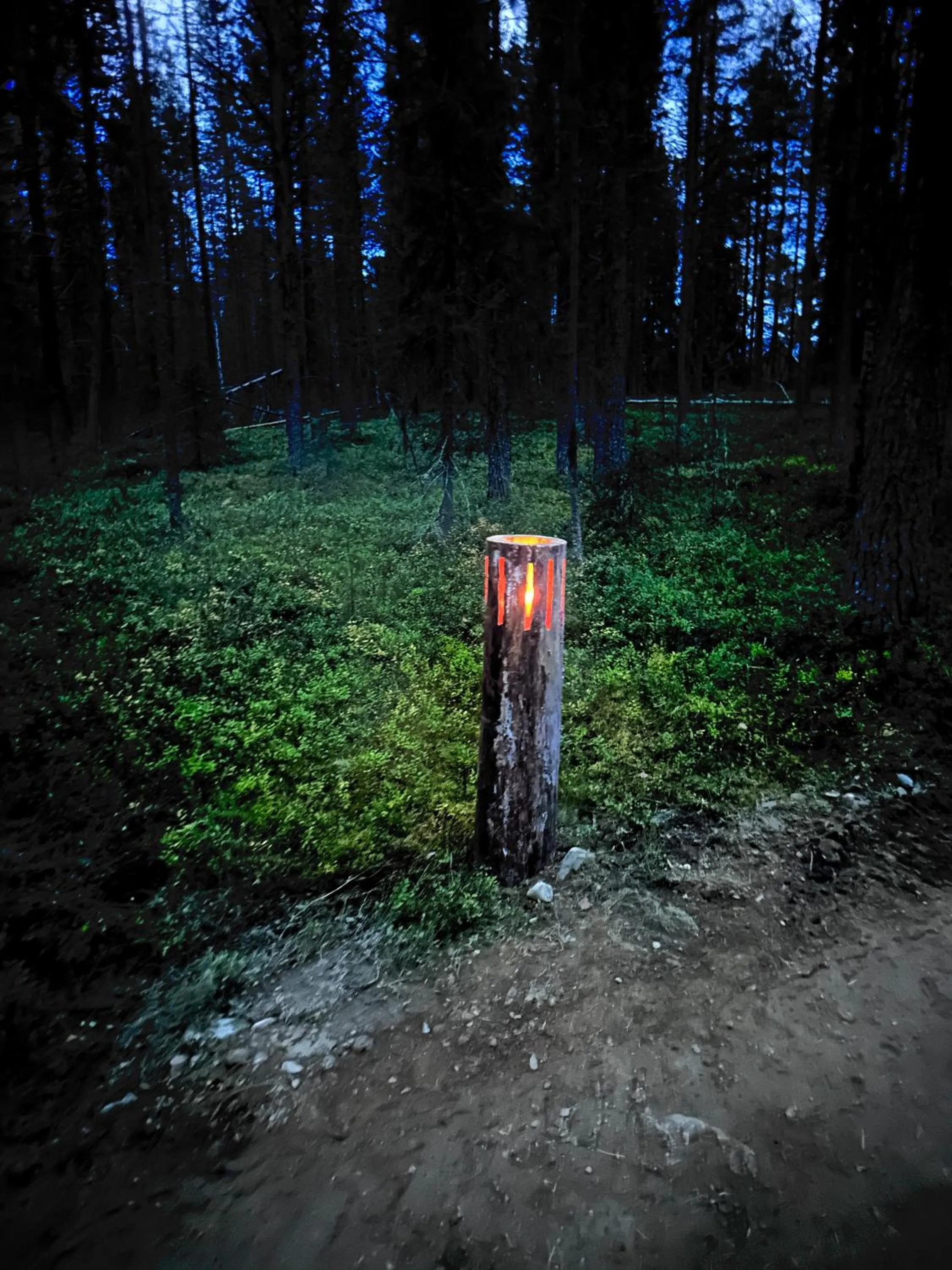 Activities in Arctic Shaman Adventures -Jurtta