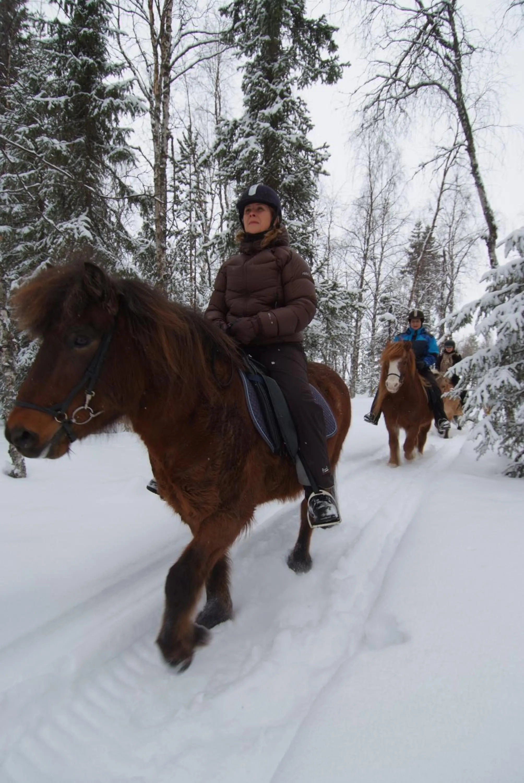 Horse-riding in Arctic Shaman Adventures -Jurtta