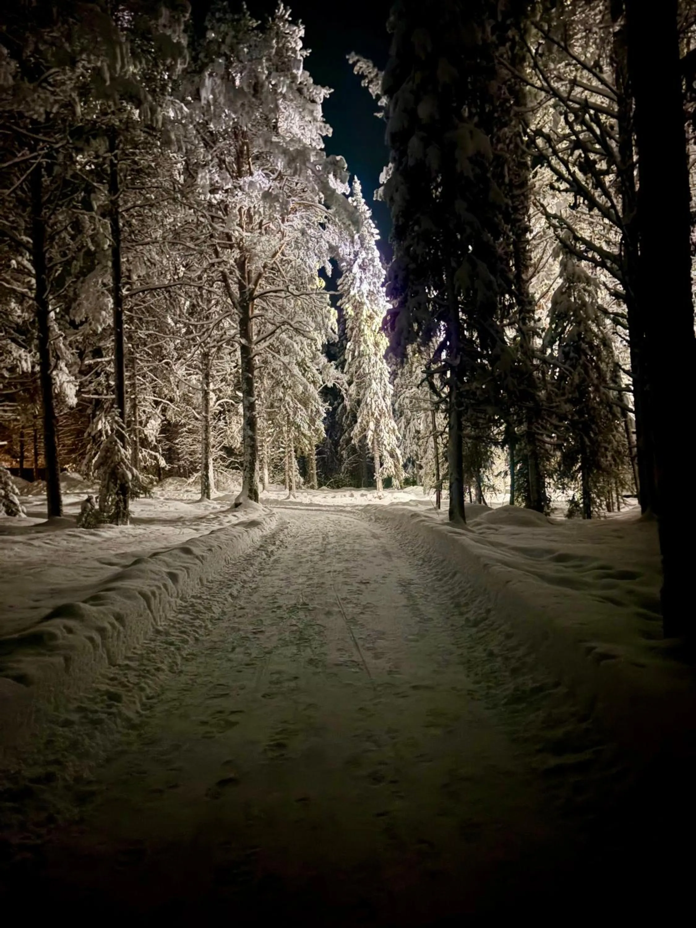 Night in Arctic Shaman Adventures -Jurtta