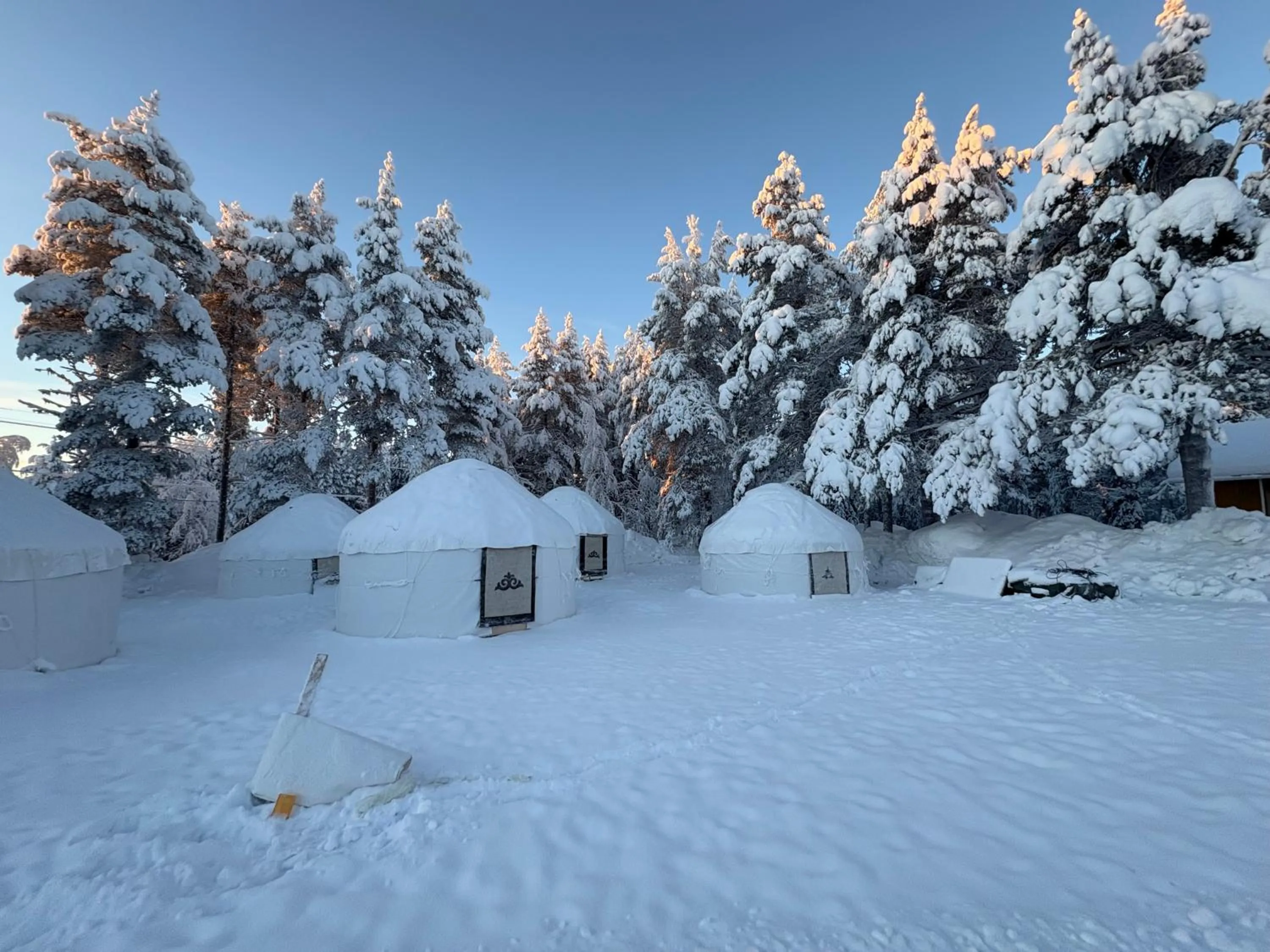 Day in Arctic Shaman Adventures -Jurtta