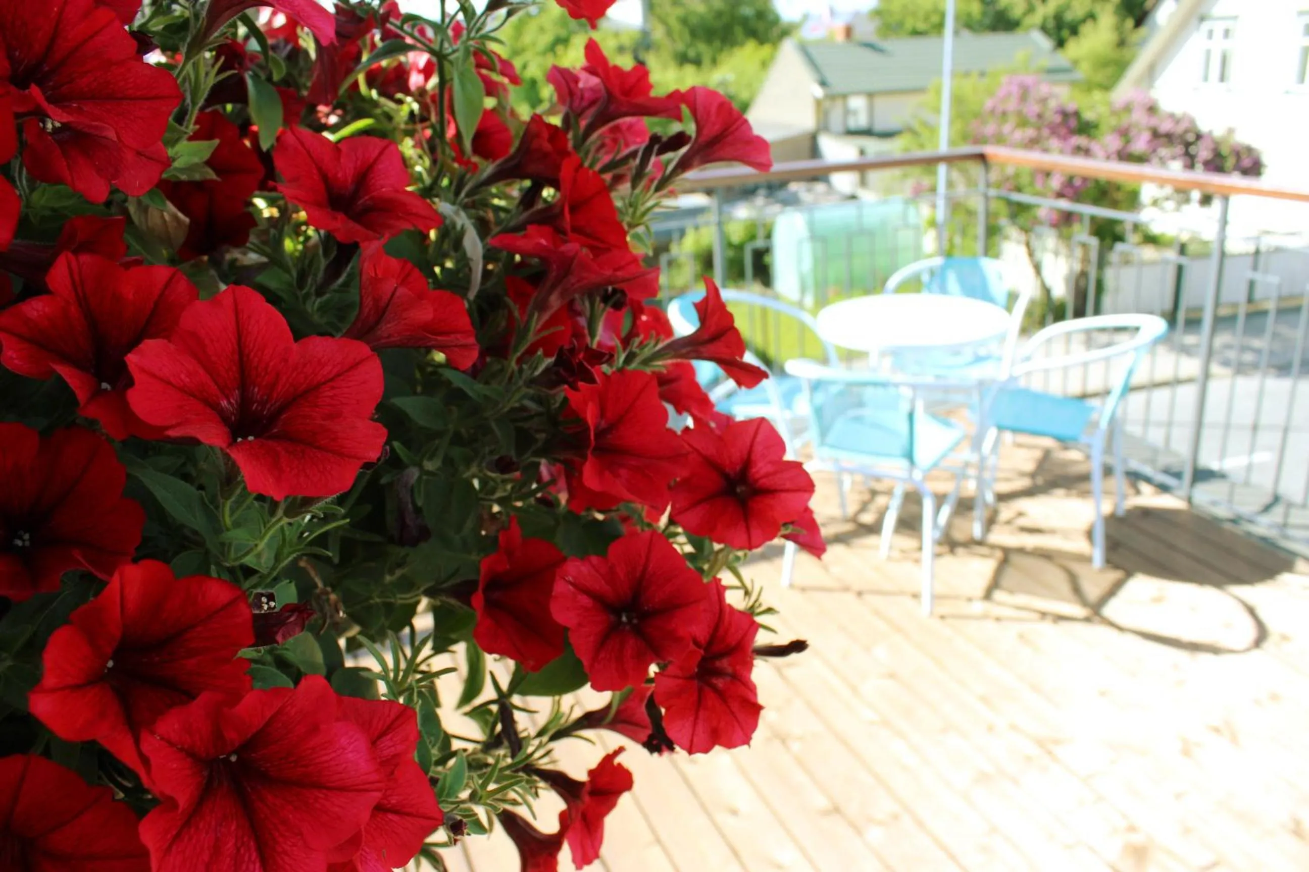 Decorative detail in Embrace Hotel & Apartments