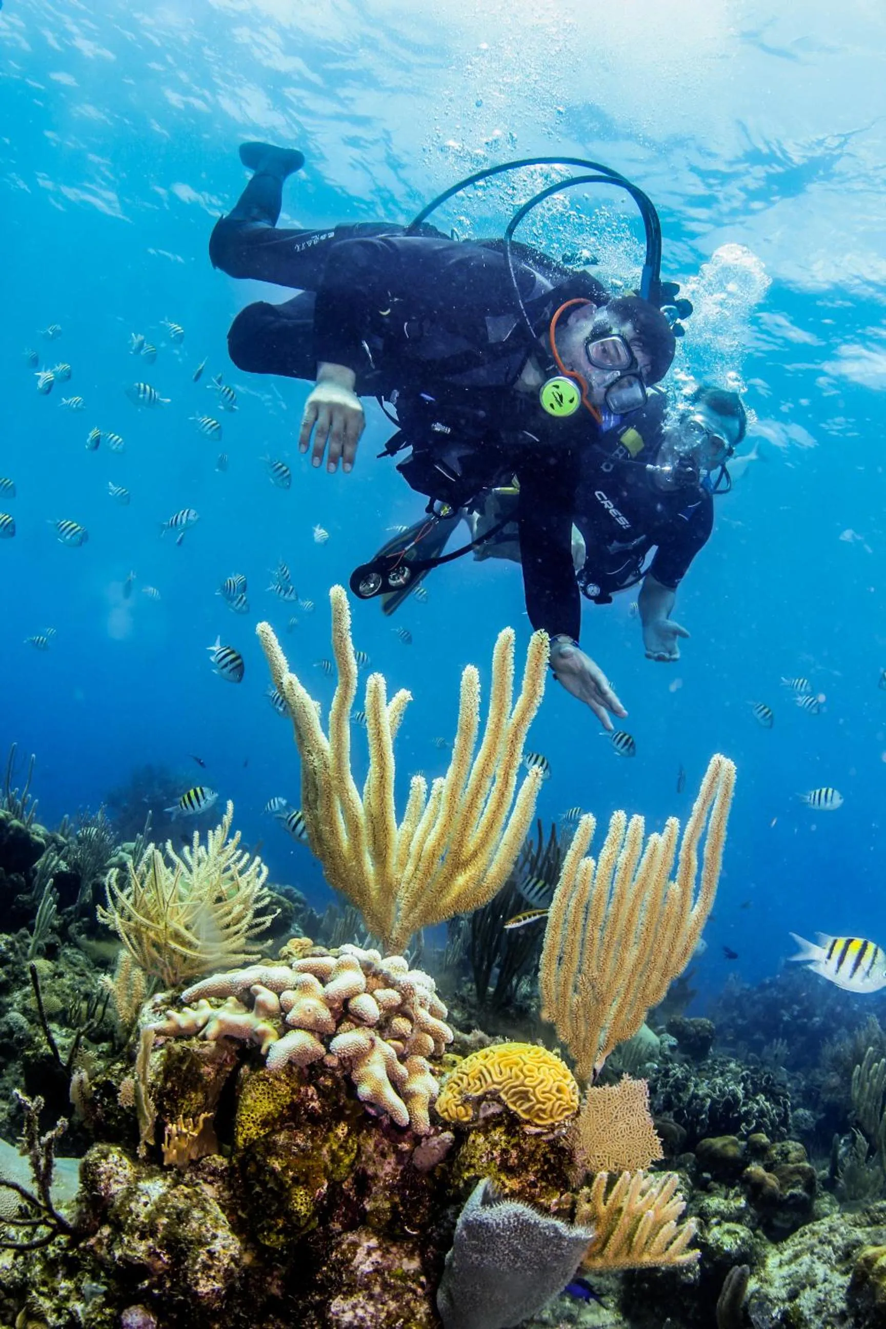 Snorkeling in La Placita Inn
