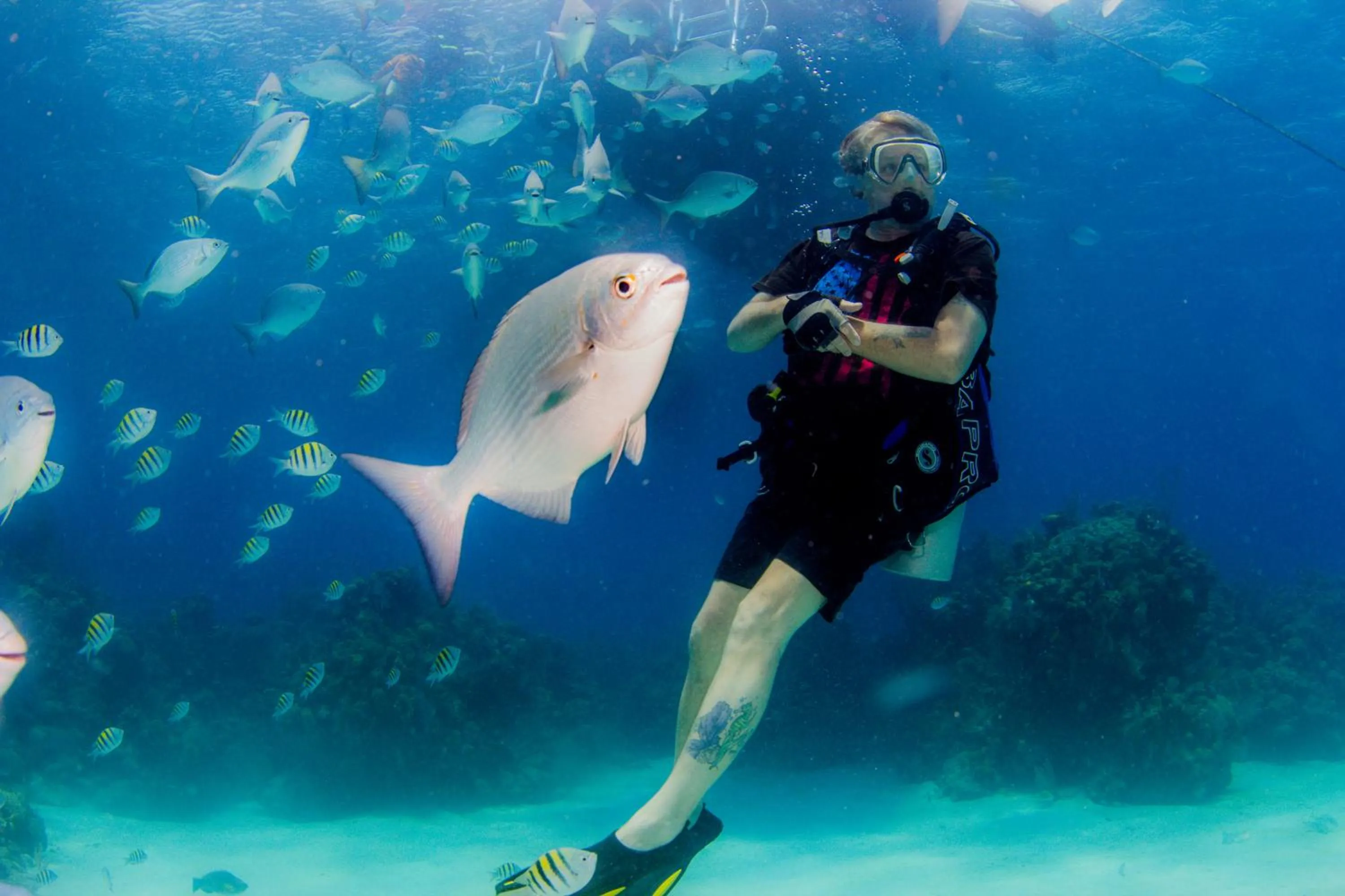 People in La Placita Inn