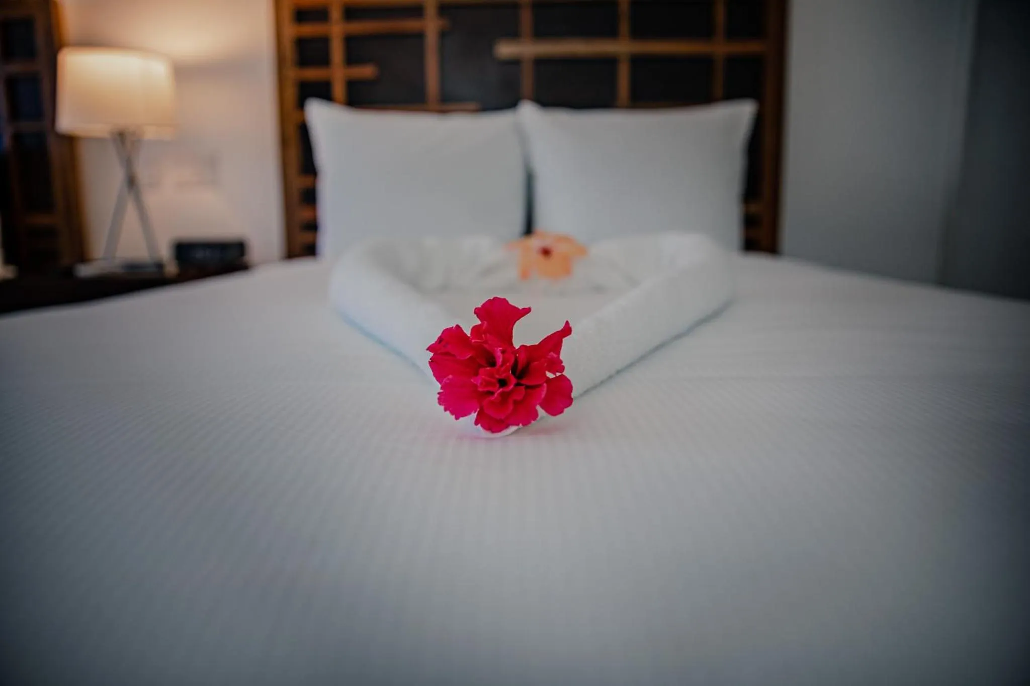 Bed in La Placita Inn