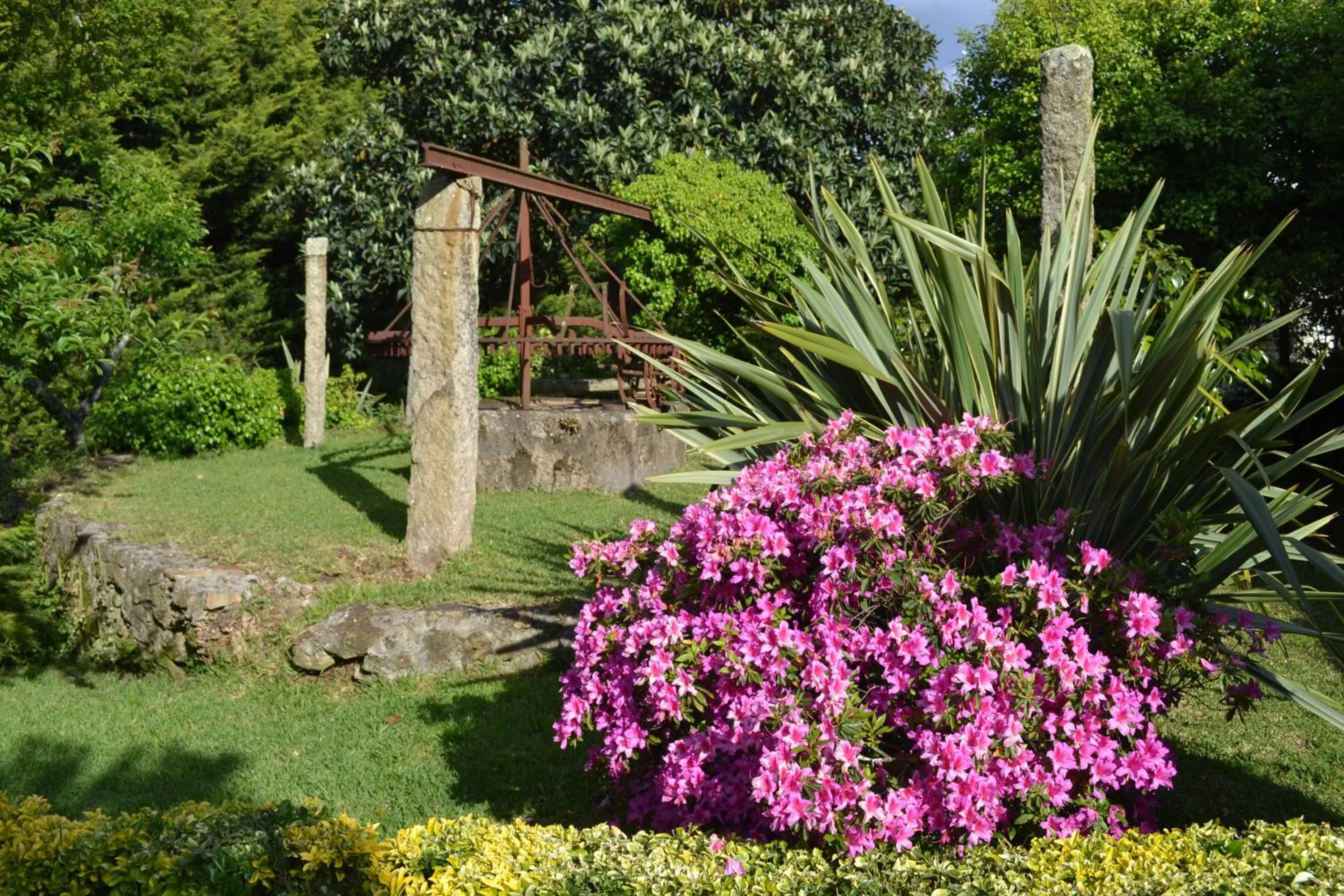 Garden in Our Lady of Mercy Villa