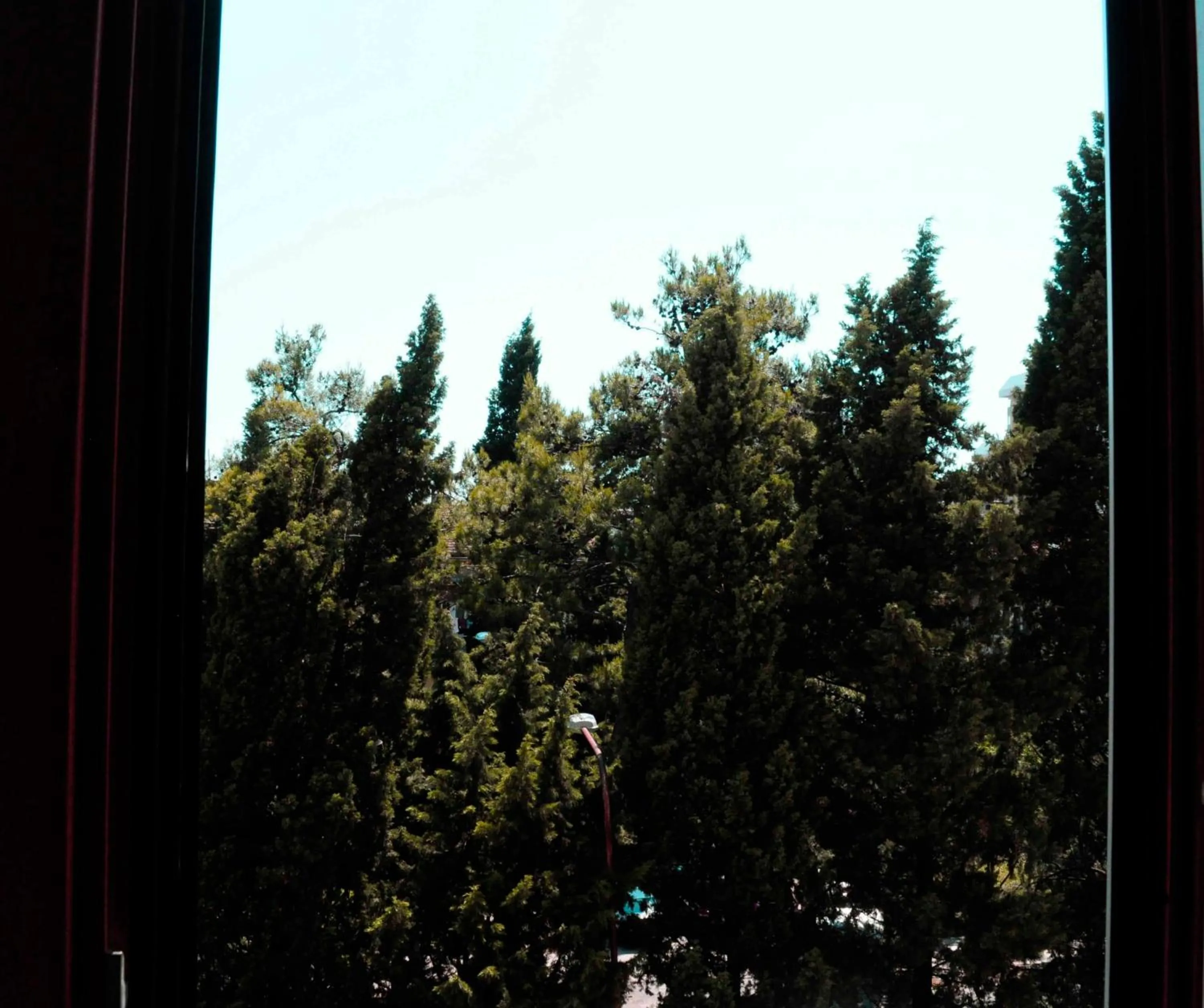 View (from property/room) in Apartments Athos