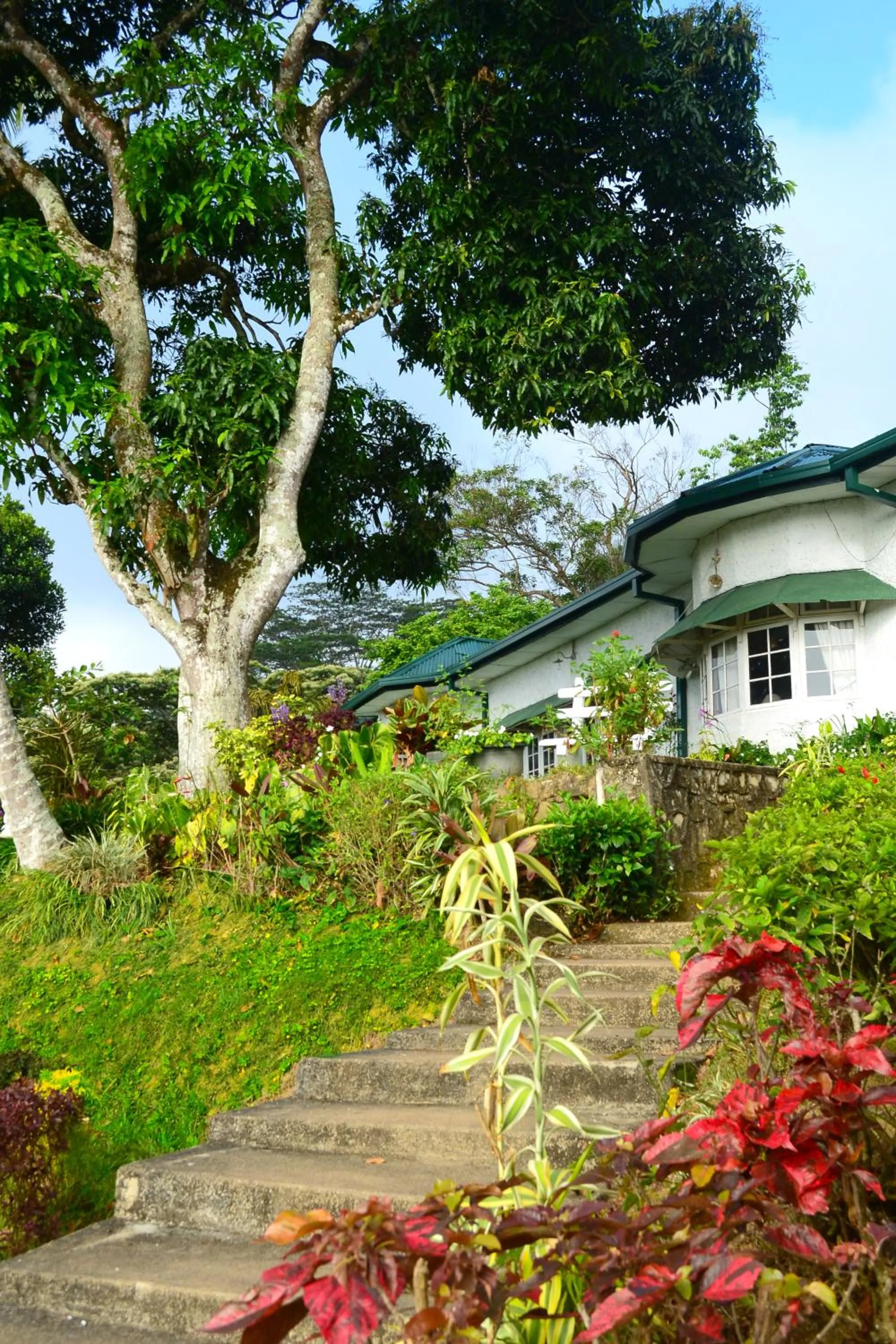 Property building in Hatale Tea Estate Bungalow