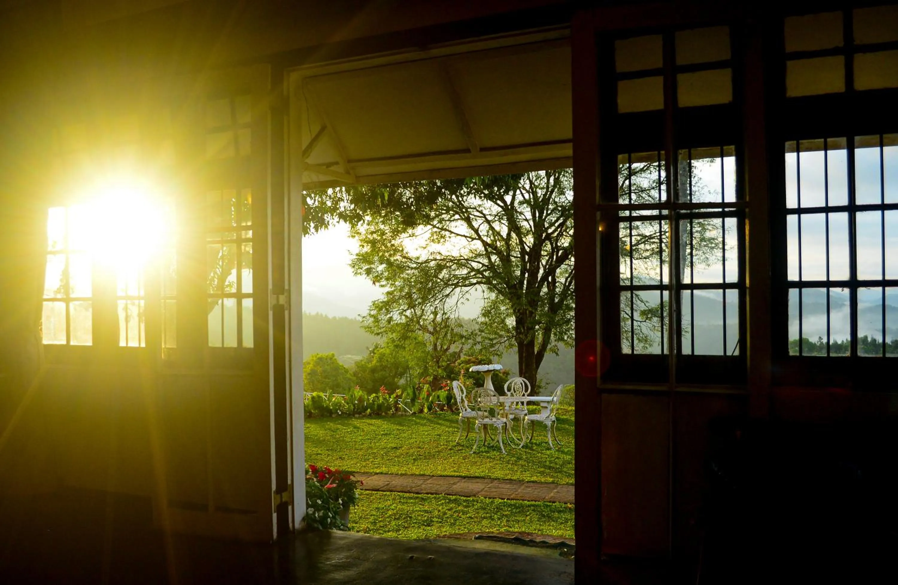 Day in Hatale Tea Estate Bungalow