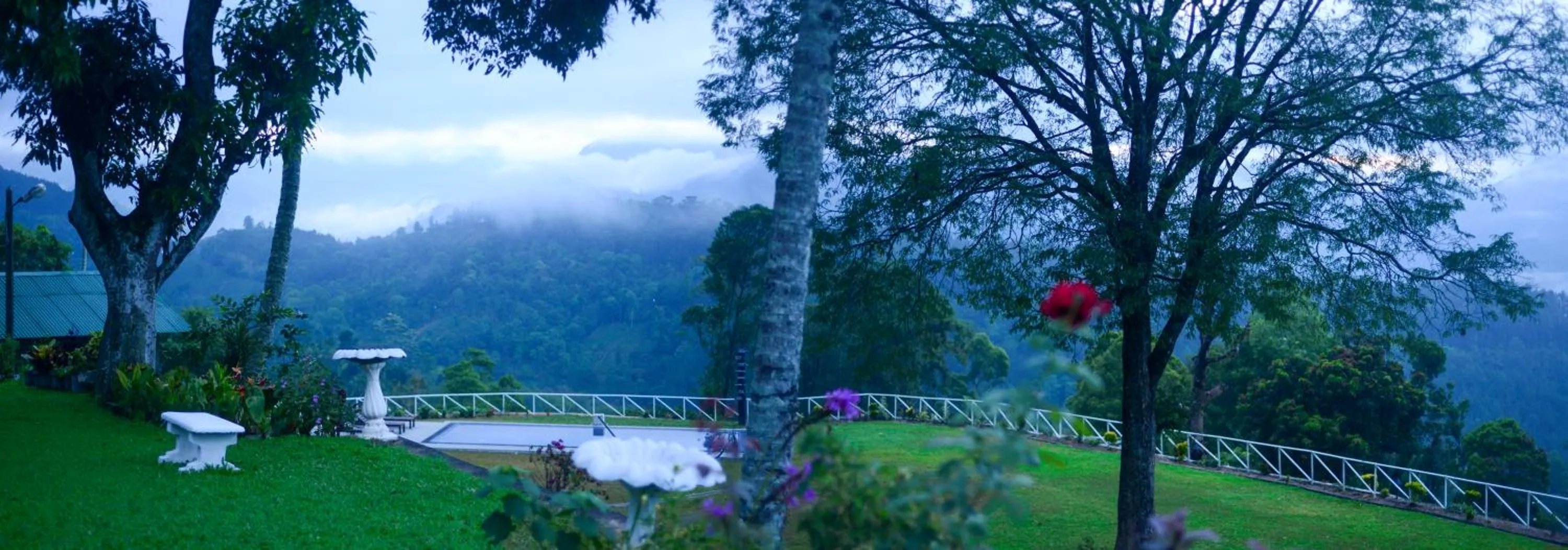 Swimming pool in Hatale Tea Estate Bungalow