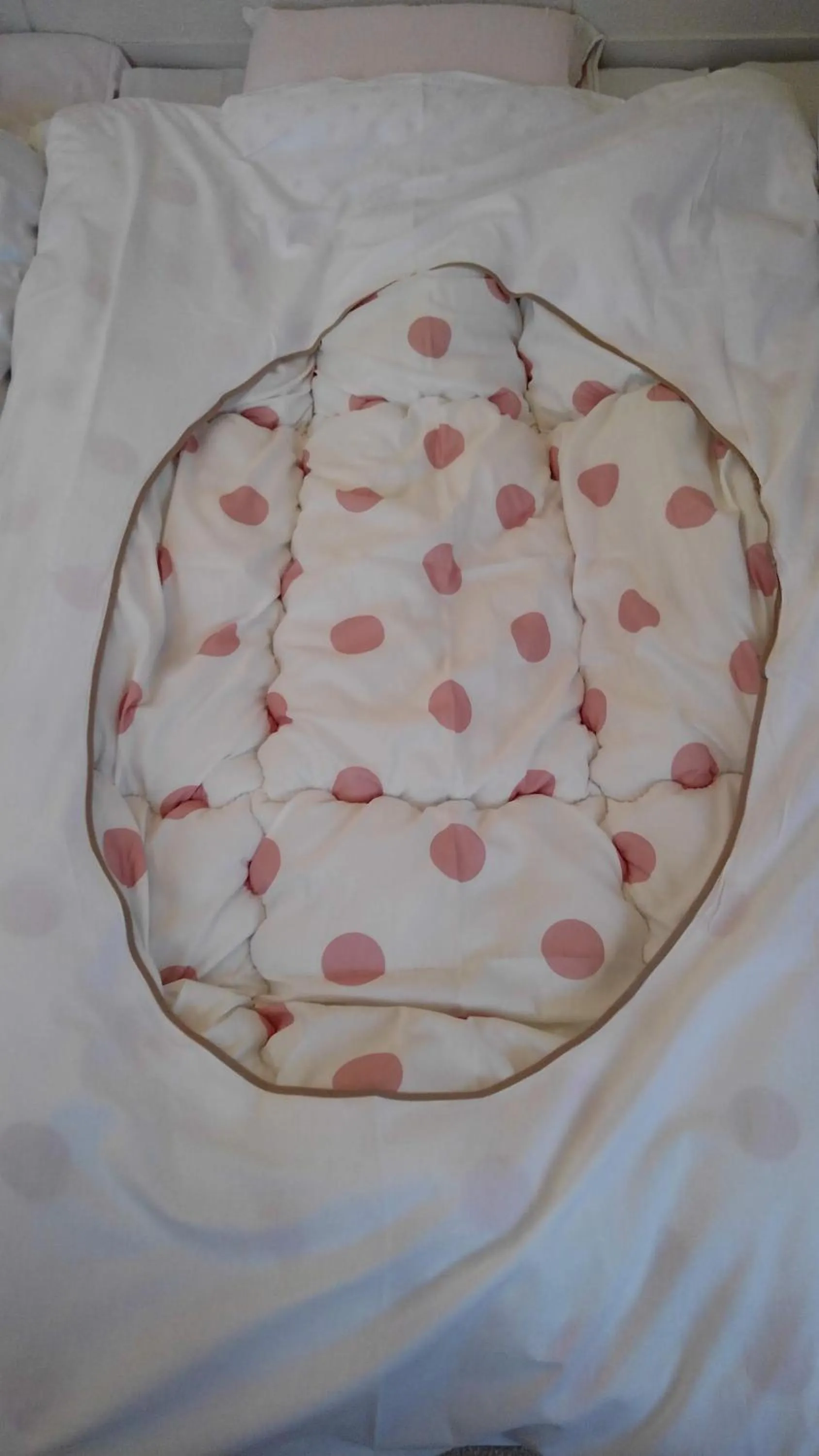 Photo of the whole room in 女性用 Art Setouchi Triennale Hotel Female Only