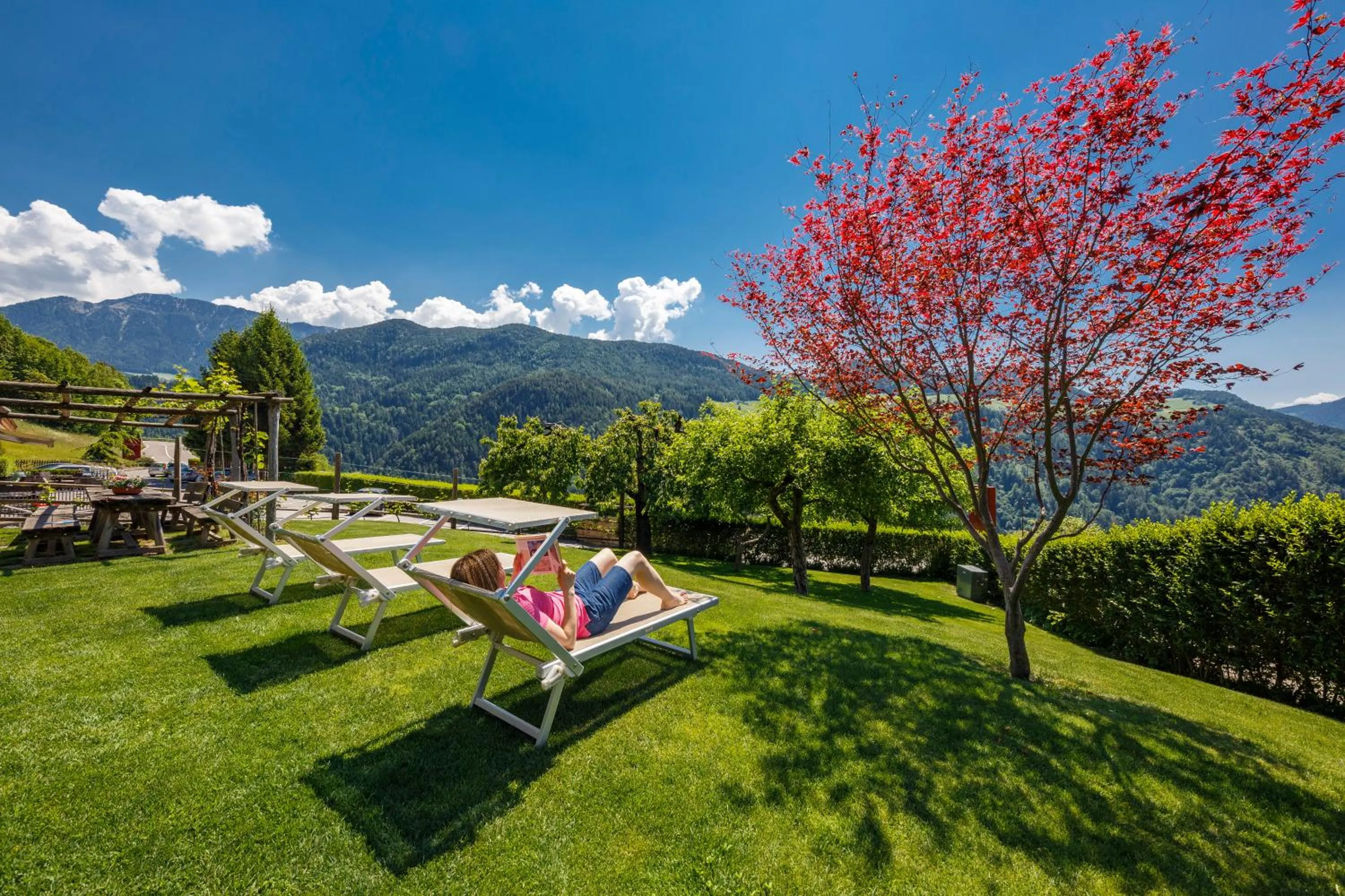 Natural landscape in Hotel Hubertusstube