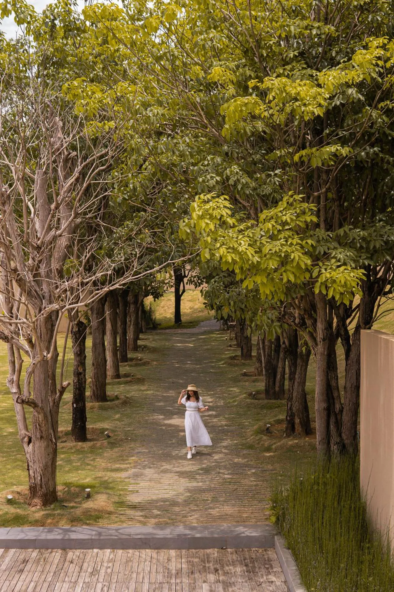 Natural landscape in Tara Villa