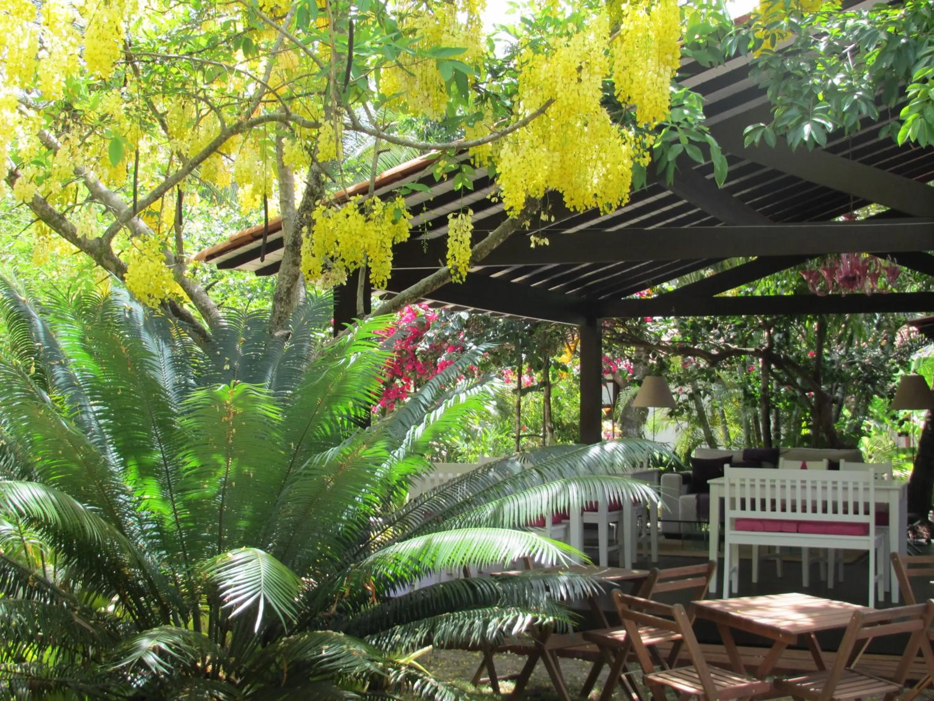 Restaurant/places to eat in Mangueira Boutique Hotel Moreré