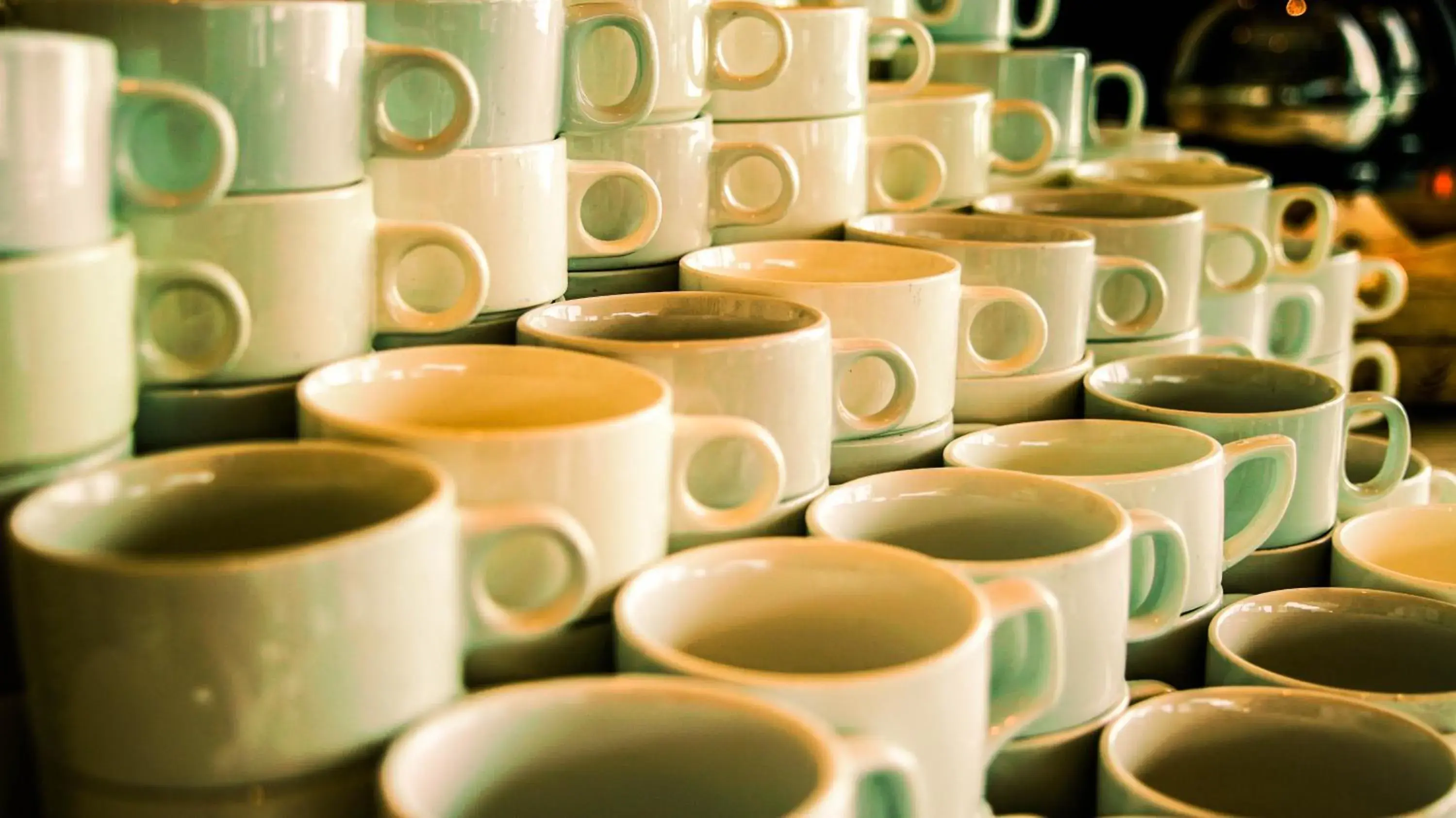 Restaurant/places to eat in GRAND FLORA HOTEL Restaurant/places to eat in GRAND FLORA HOTEL