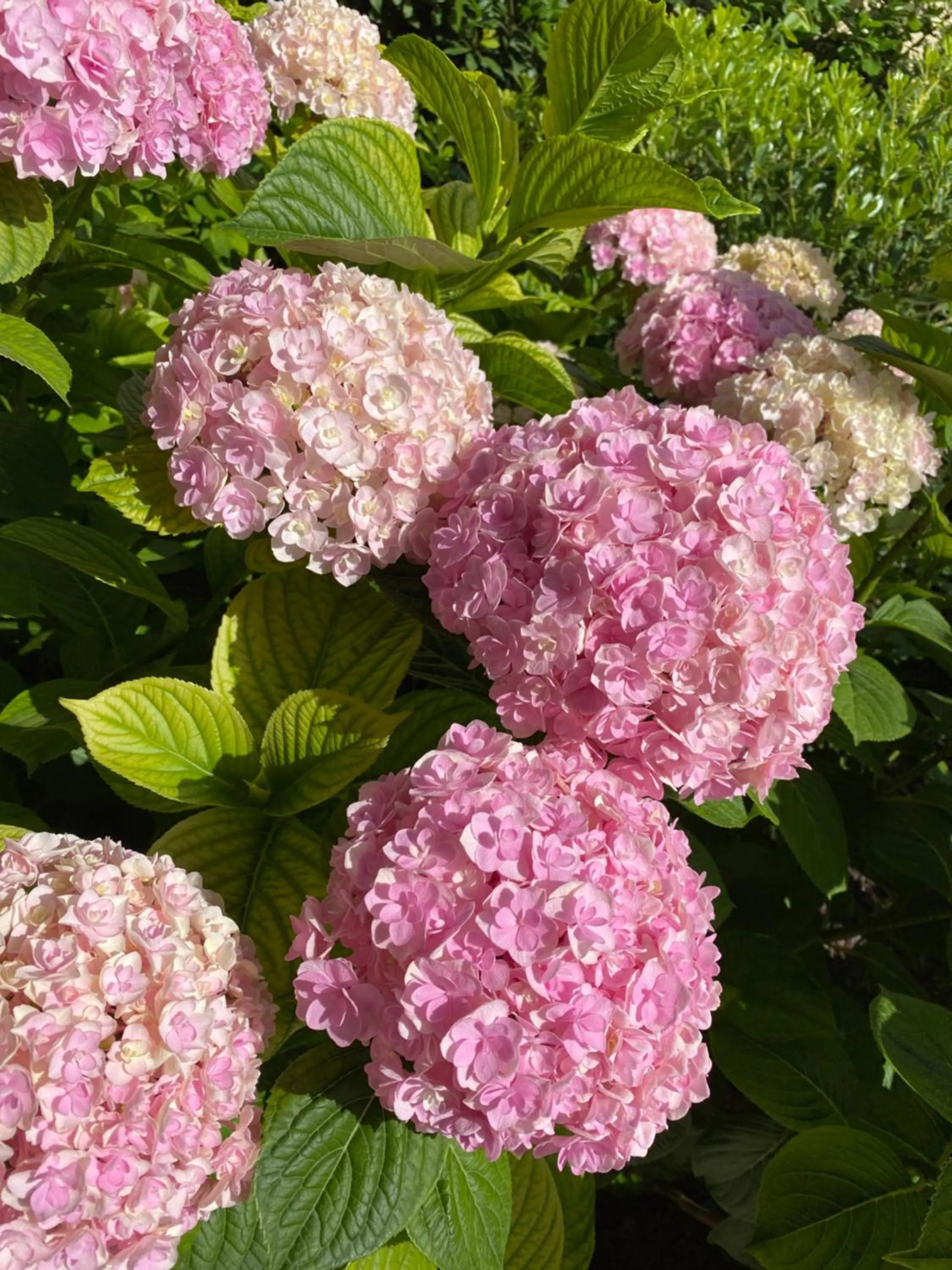 VeronaLago B&B Accessibile