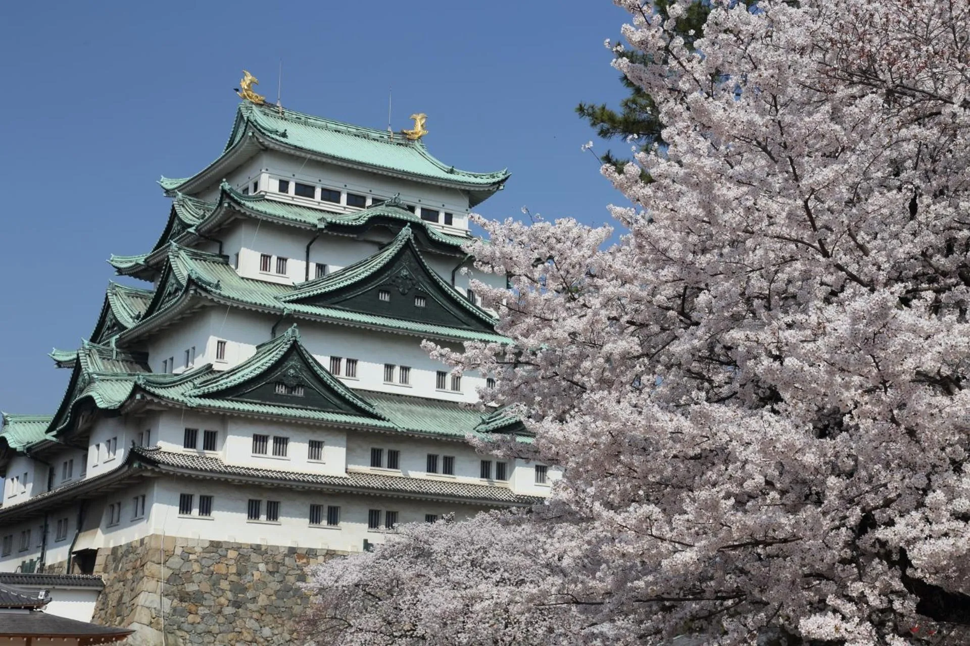Nearby landmark in Hotel LALA - Kitashiga - (Adult Only)