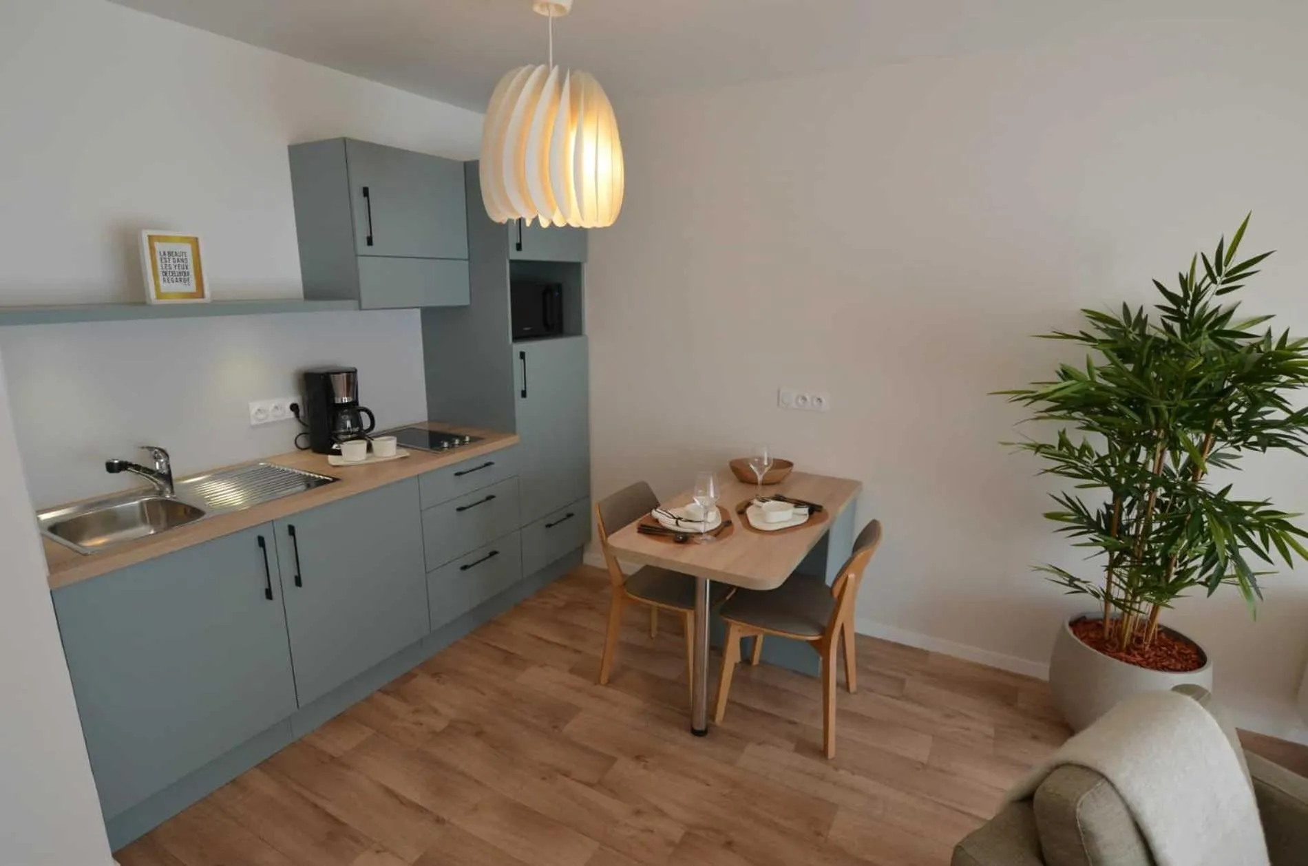 Kitchen or kitchenette in Résidence DOMITYS - L'Athénée