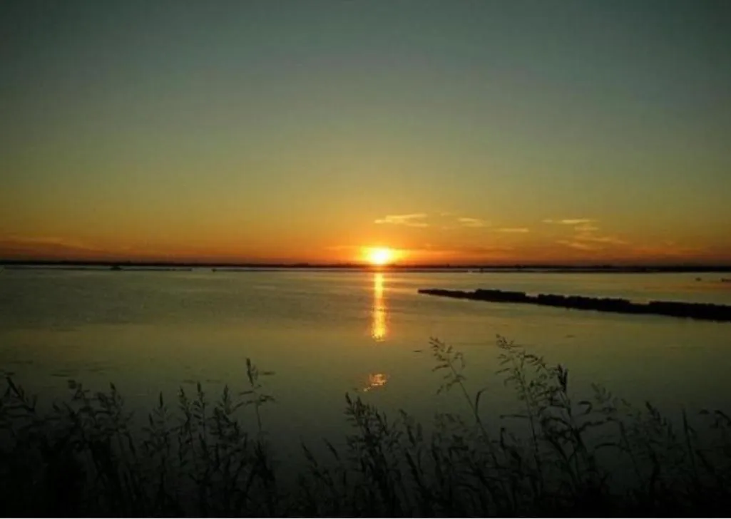 Natural landscape in Hotel Diga