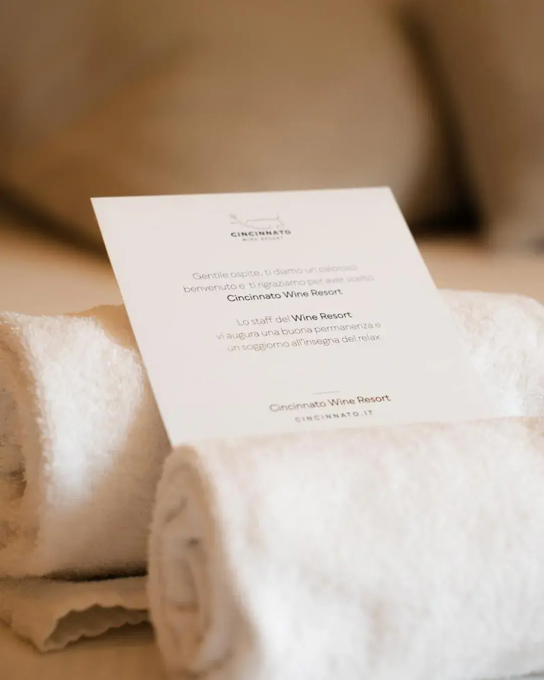 Single Room in Cincinnato Wine Resort Single Room in Cincinnato Wine Resort