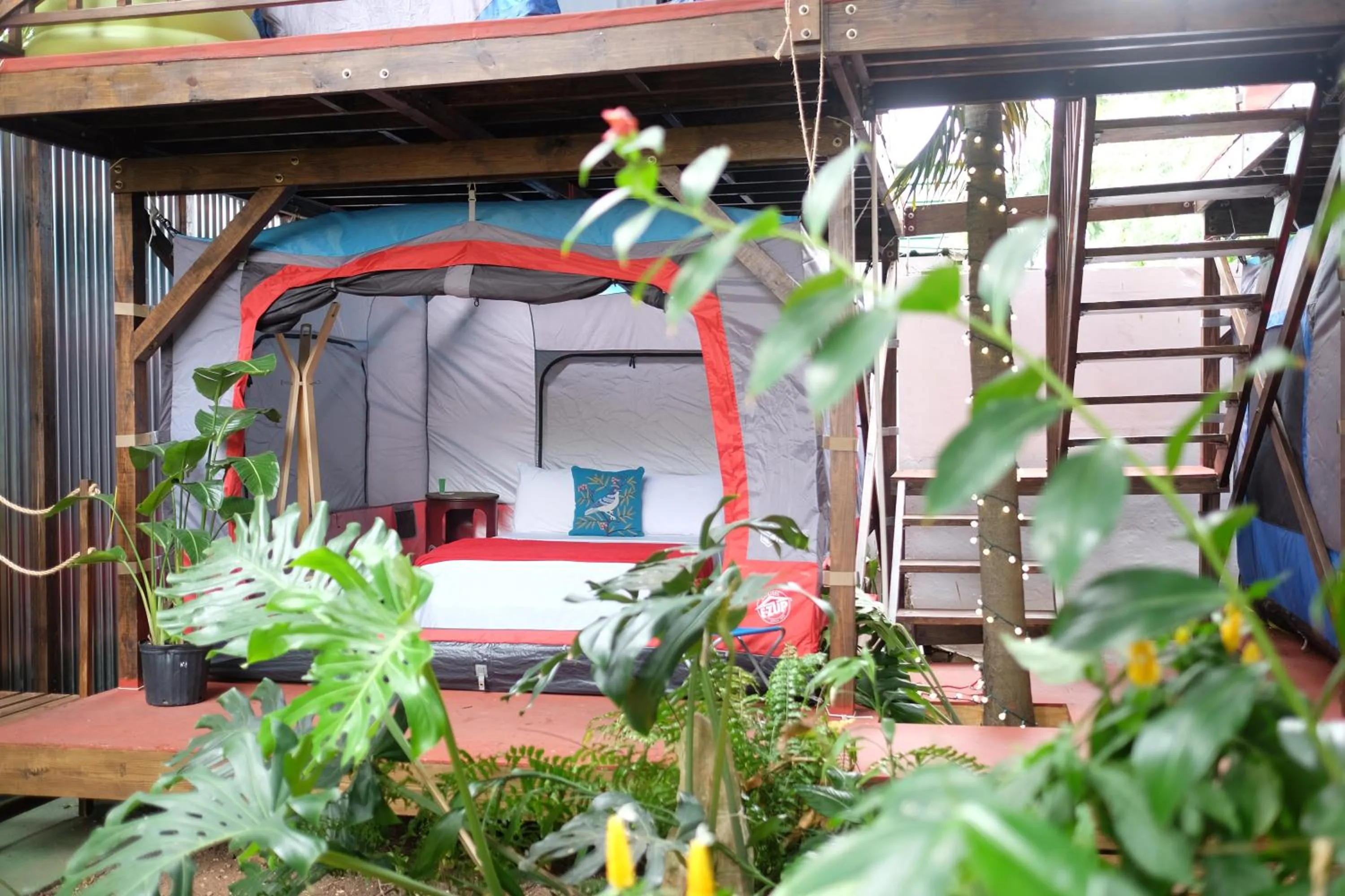 Panama House Bed & Breakfast