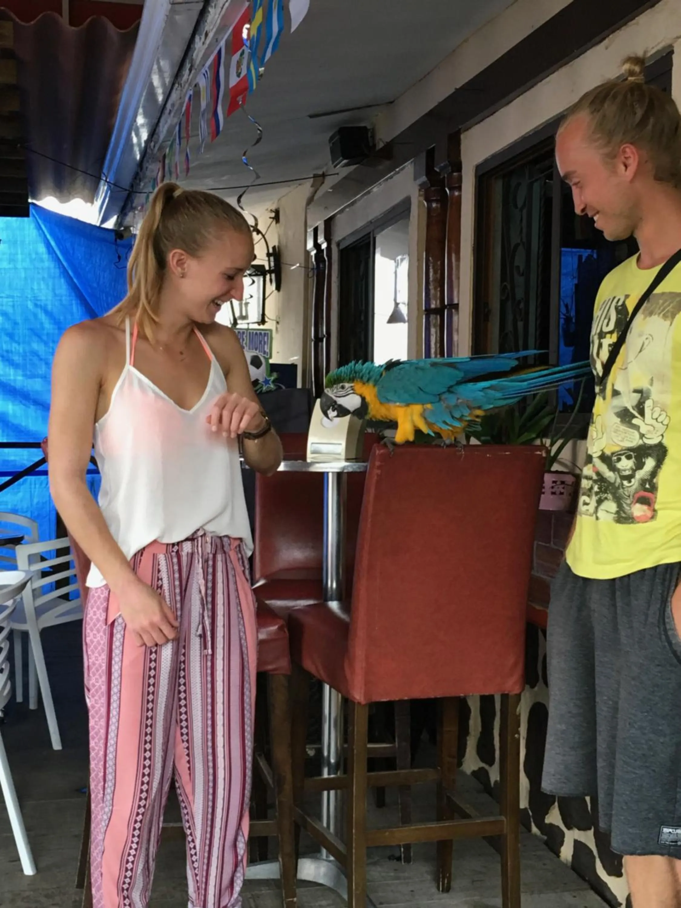 Pets in Panama House Bed & Breakfast