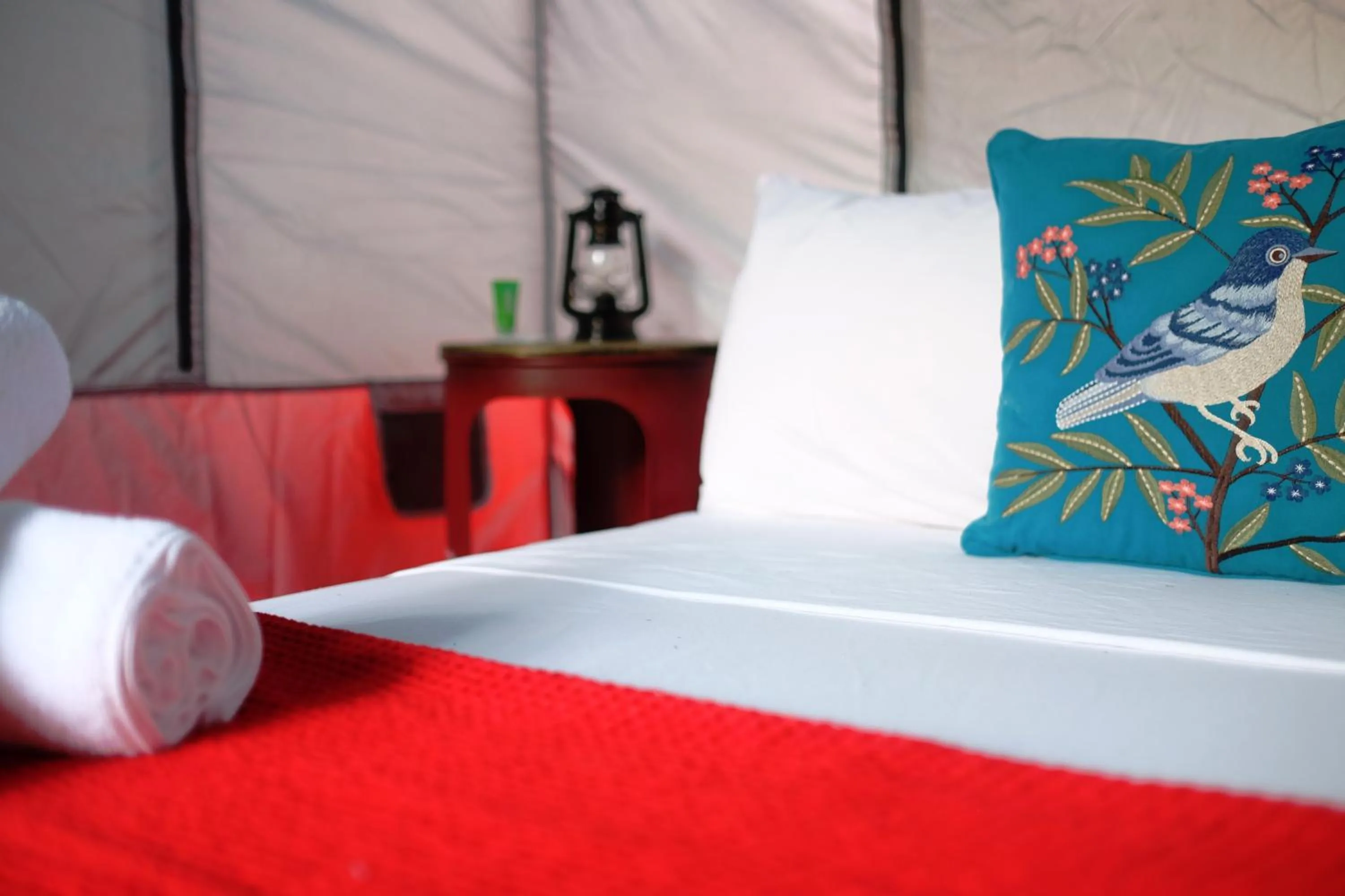 Bed in Panama House Bed & Breakfast