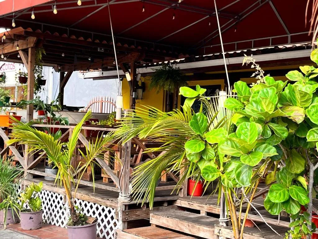 Panama House Bed & Breakfast