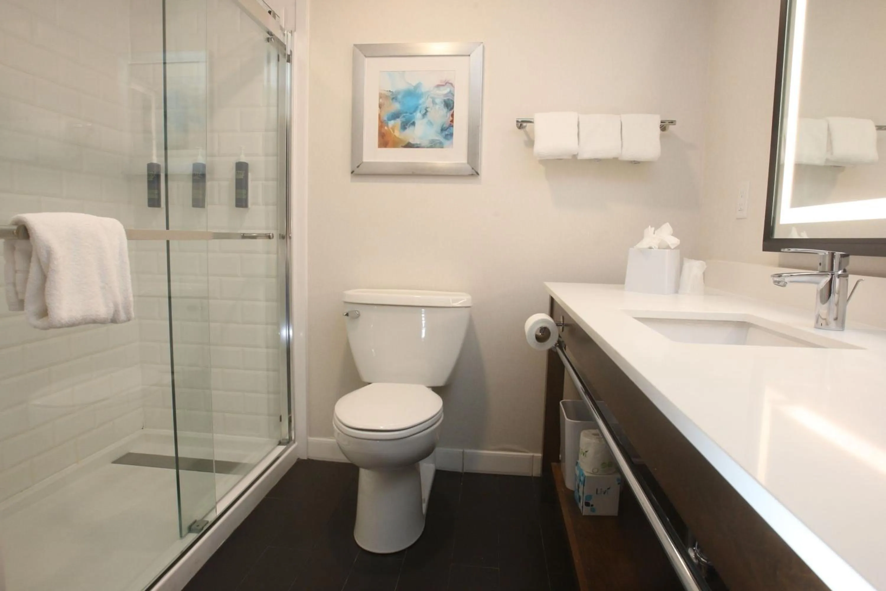 Bathroom in Four Points by Sheraton Wakefield Boston Hotel & Conference Center