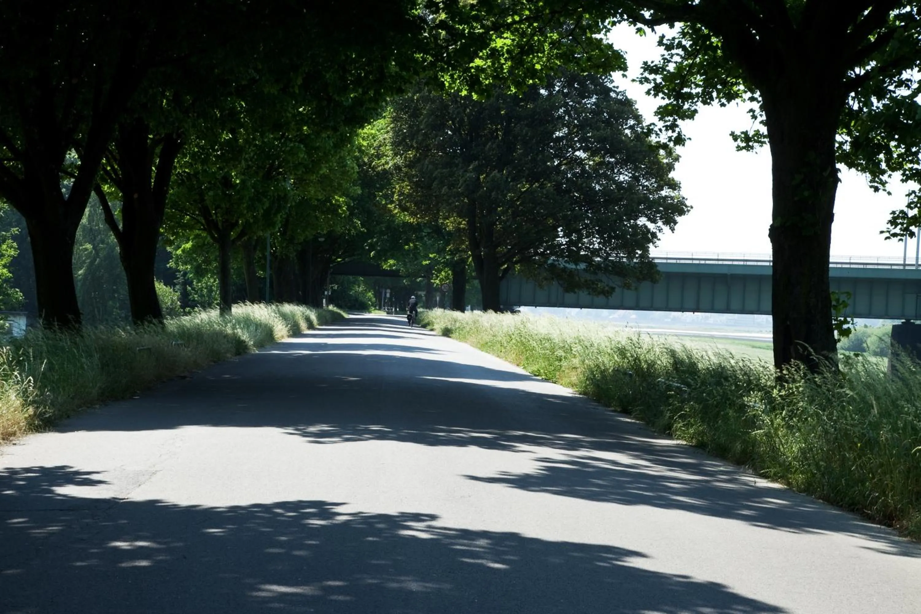 Area and facilities in Chrisma