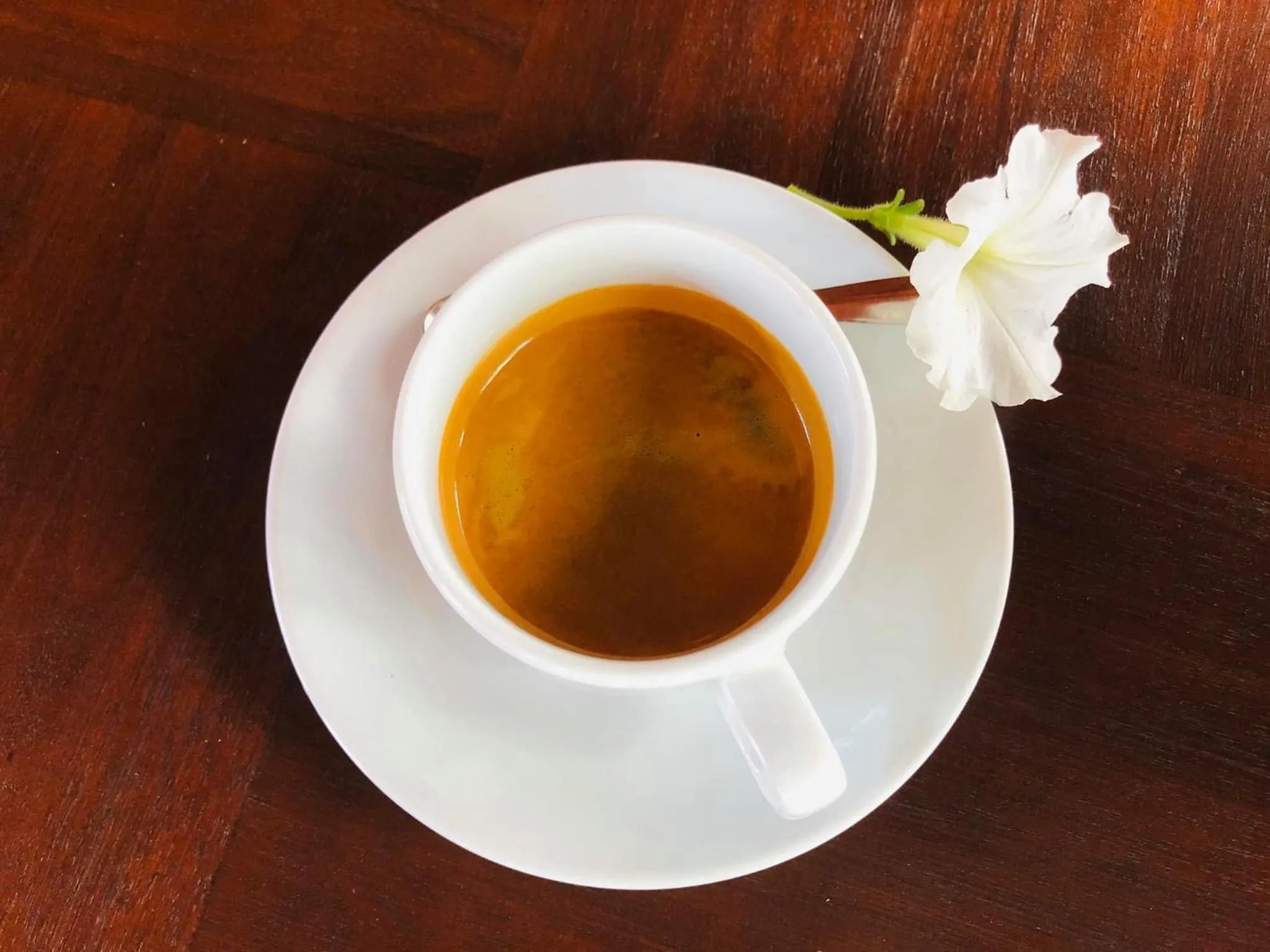 Restaurant/places to eat in Thông Đỏ Hotel