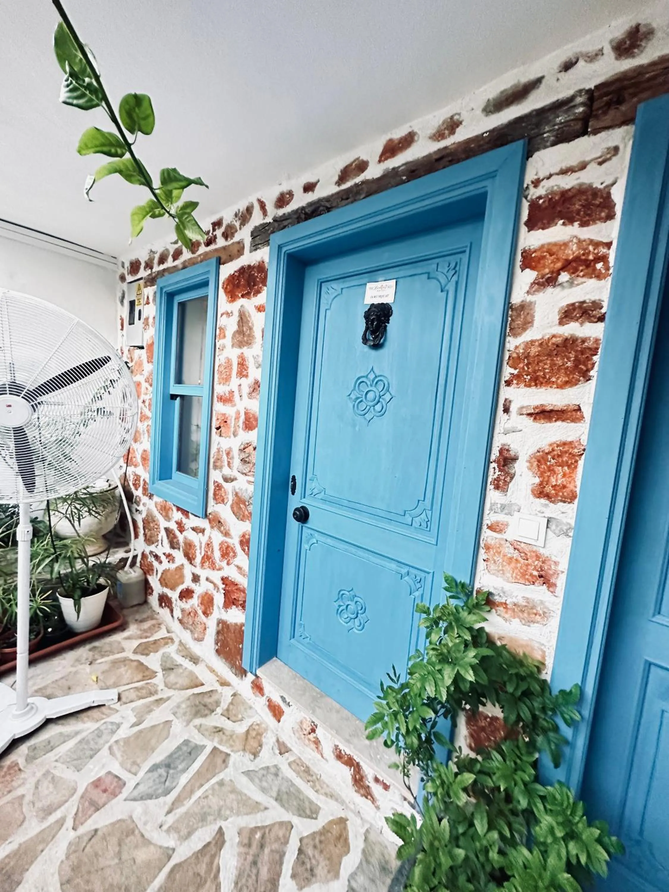 Day in Lemon Villa Hotel