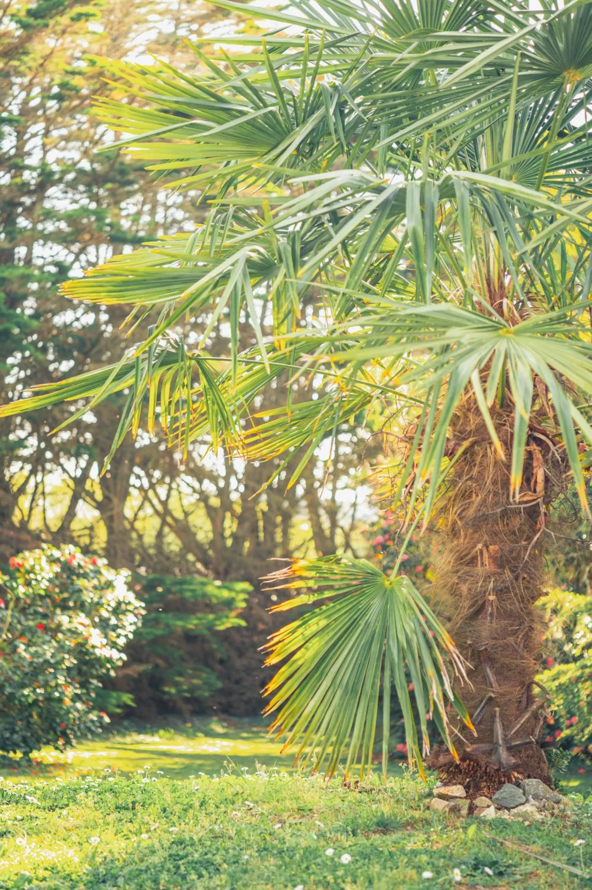 Natural landscape in Le Galet Hotel & Spa