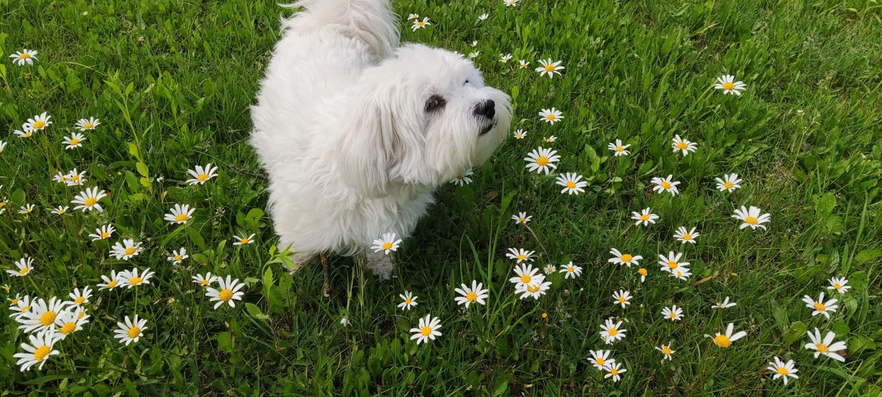 Spring in Landhaus Noreia
