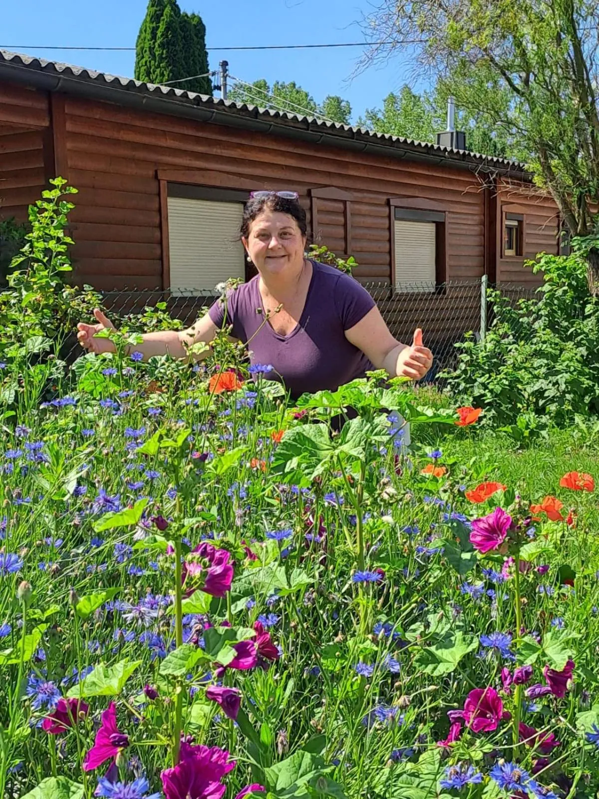 Day in Landhaus Noreia