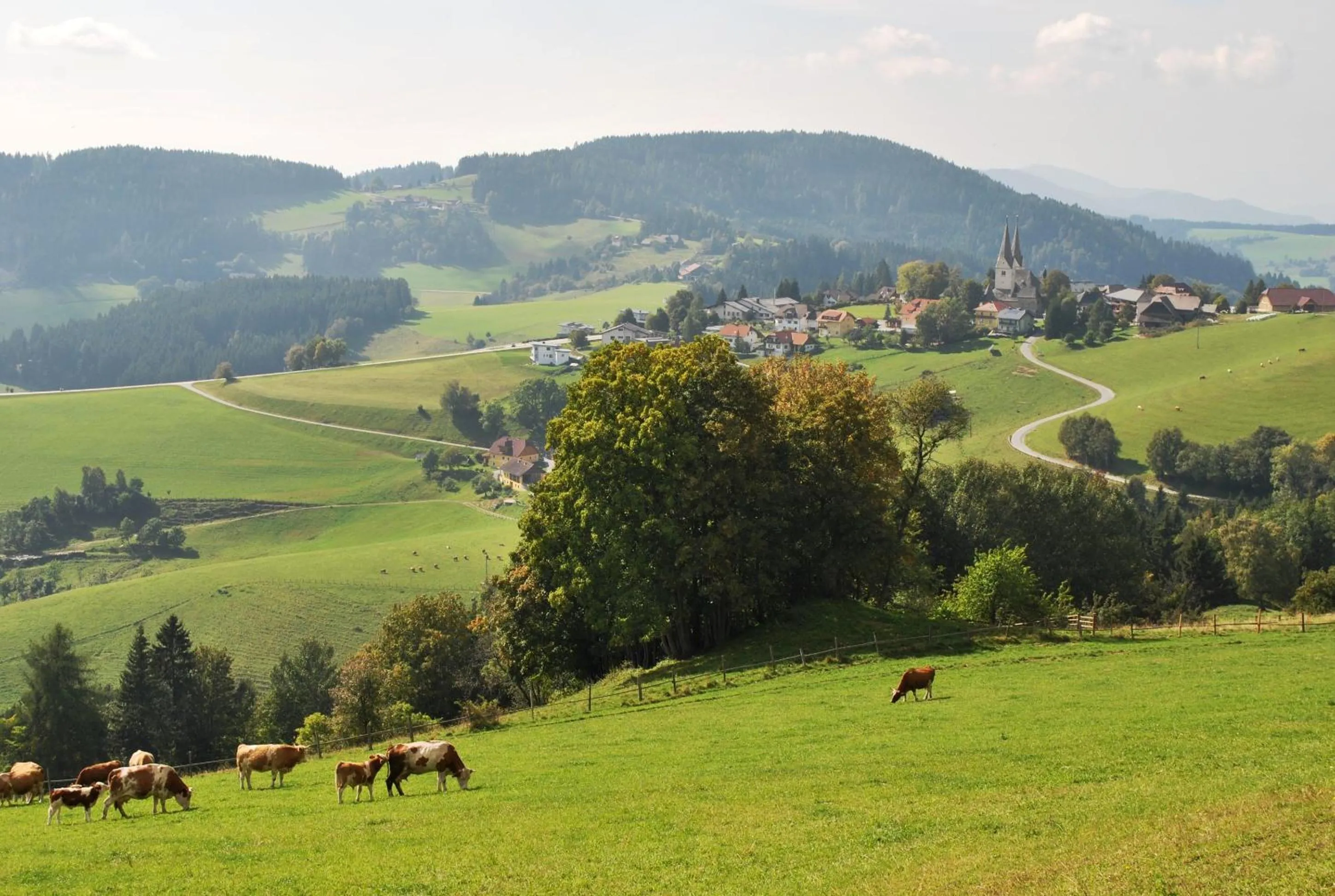Area and facilities in Landhaus Noreia