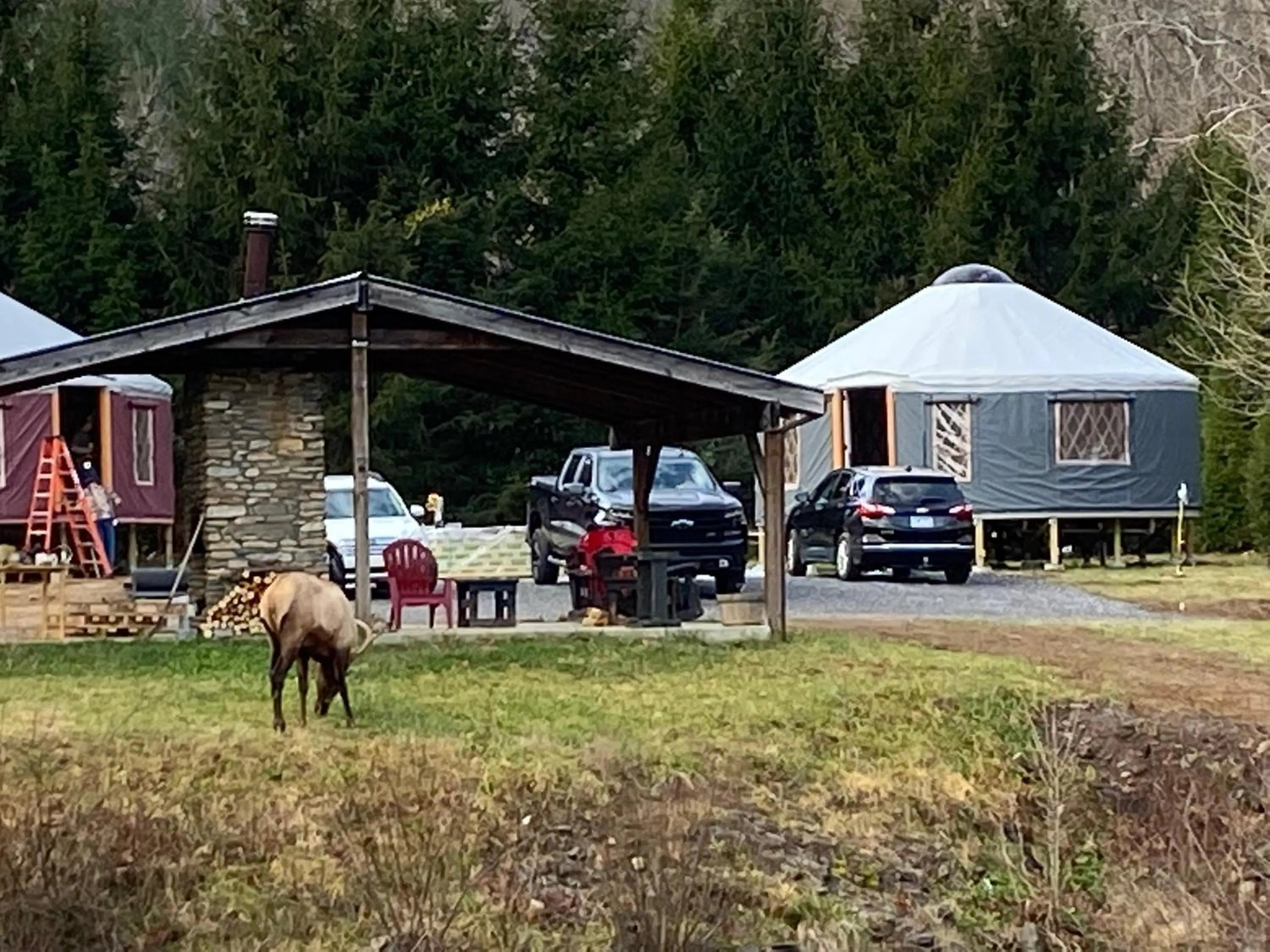 Property building in Maggie Valley Cabin Rentals
