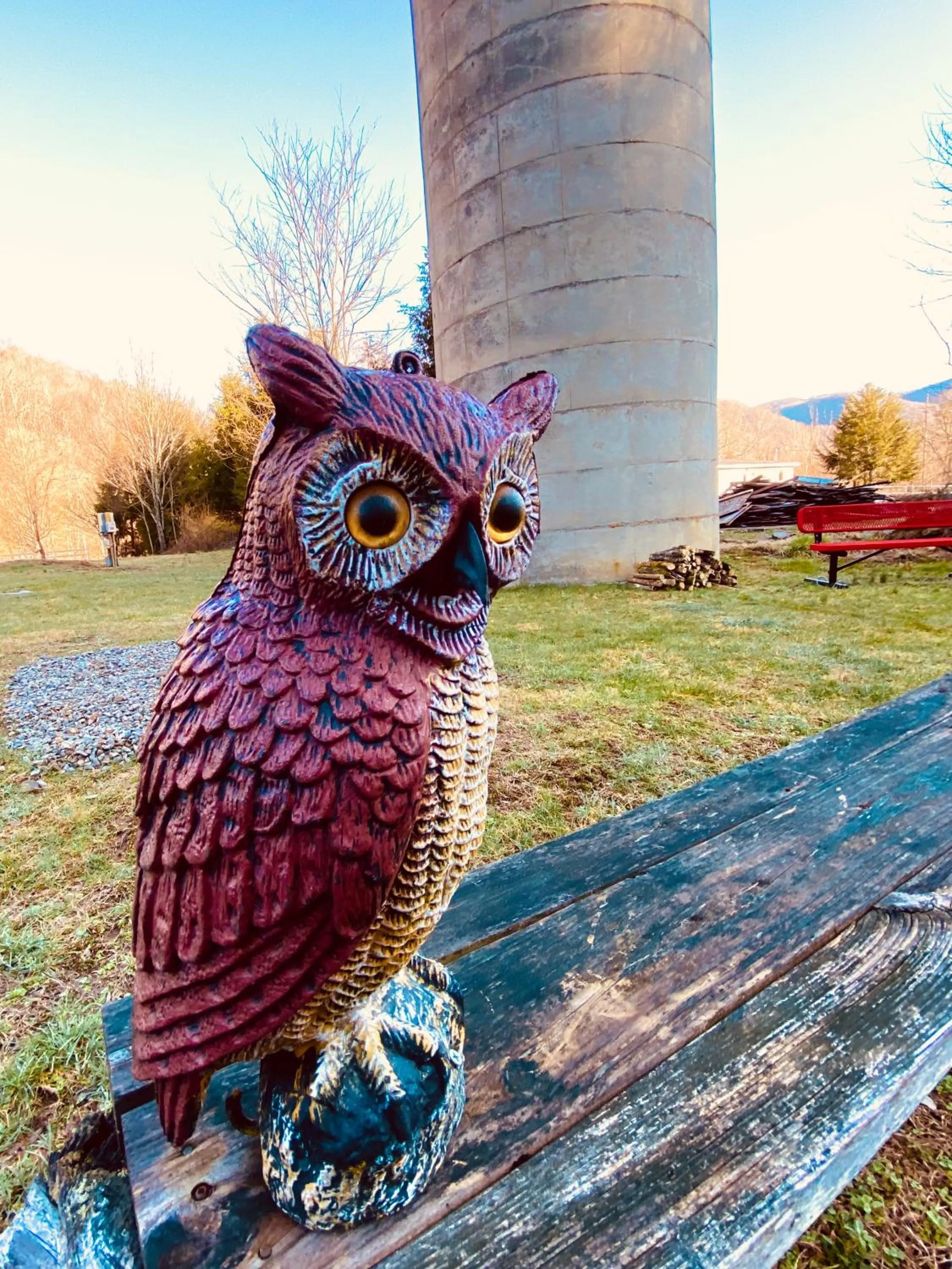 View (from property/room) in Maggie Valley Cabin Rentals