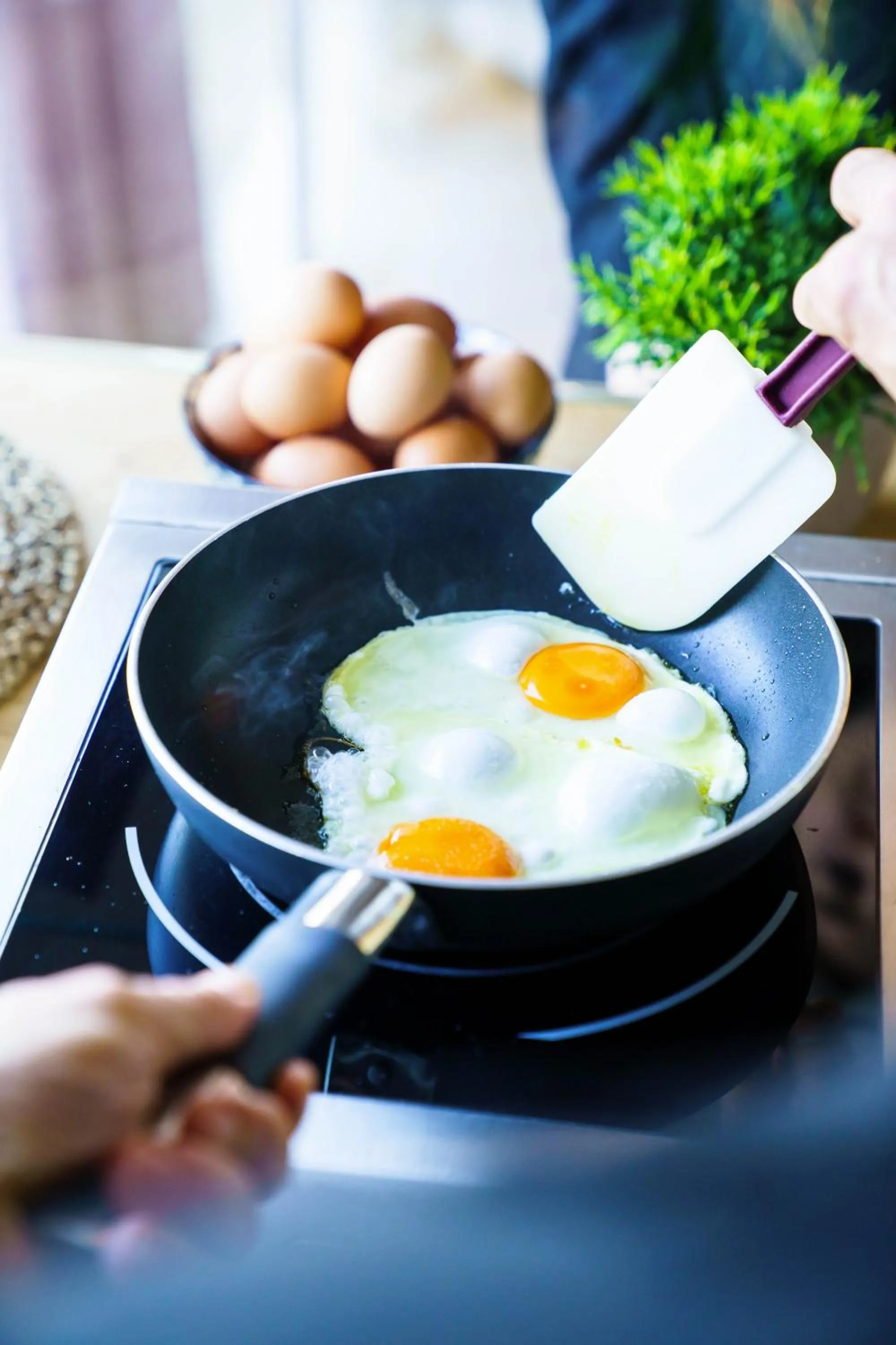 Meals in Brasil Seaview Hotel