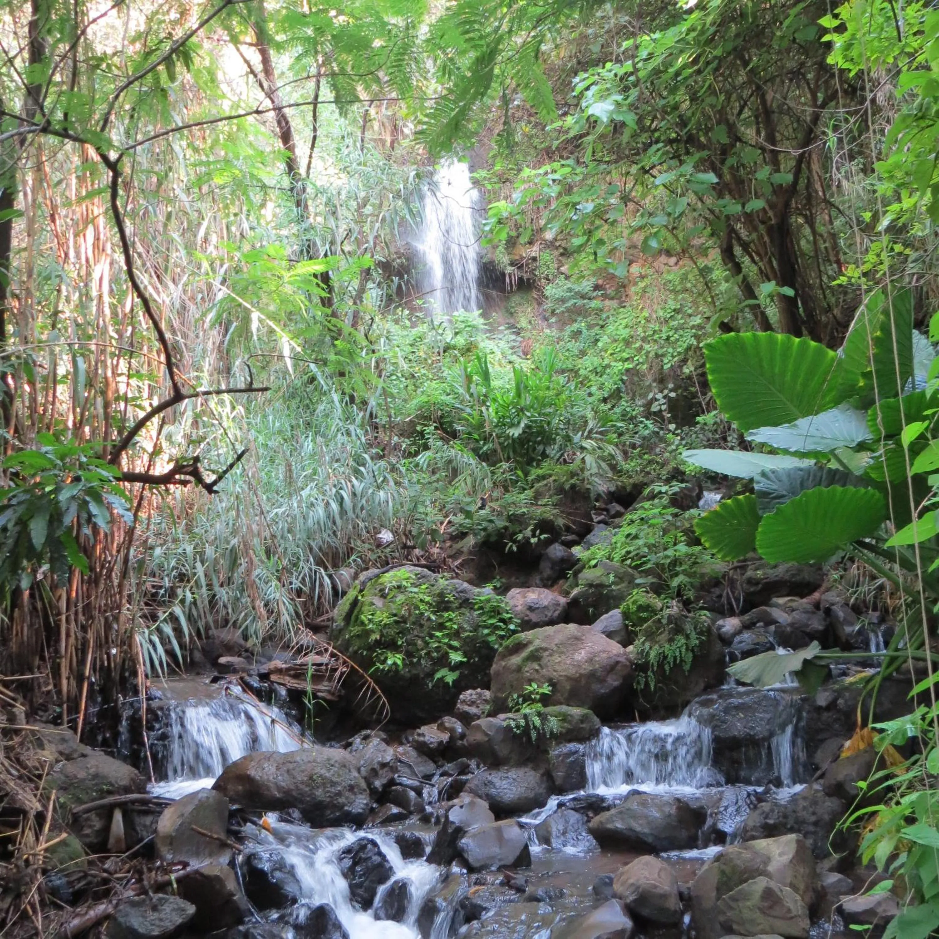 Area and facilities in Hotel Agua Blanca