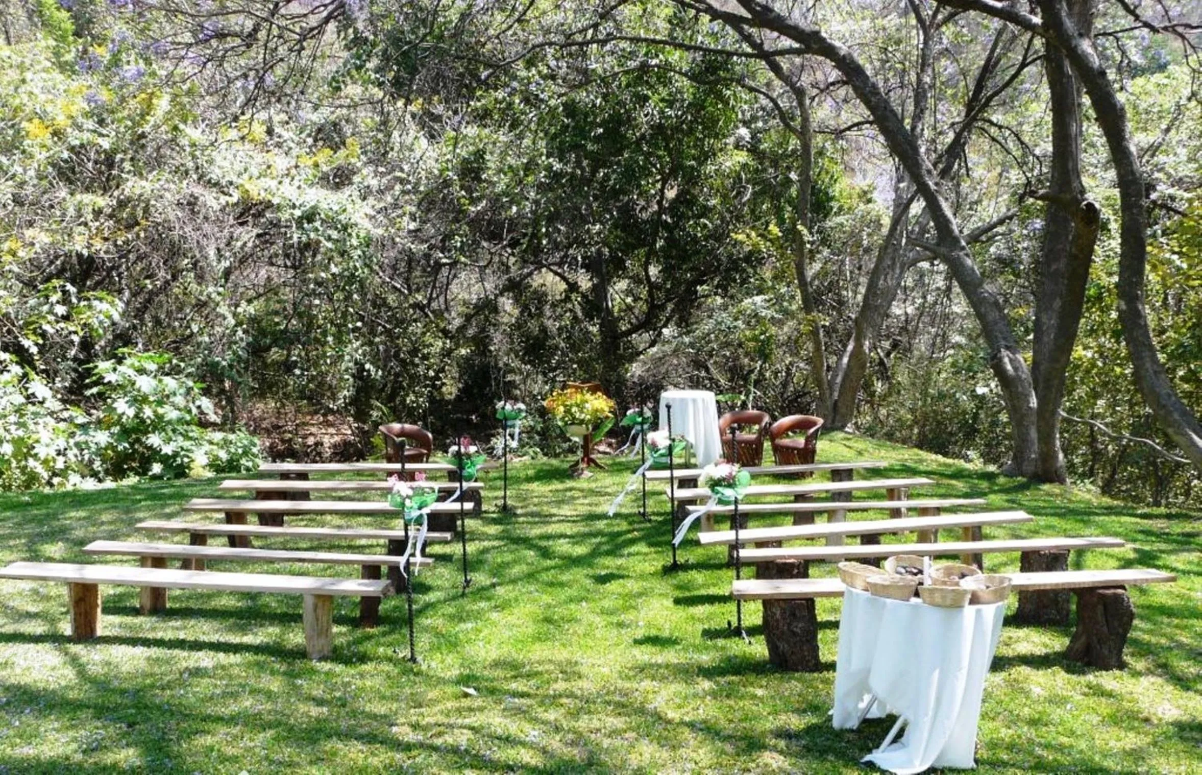 Garden in Hotel Agua Blanca
