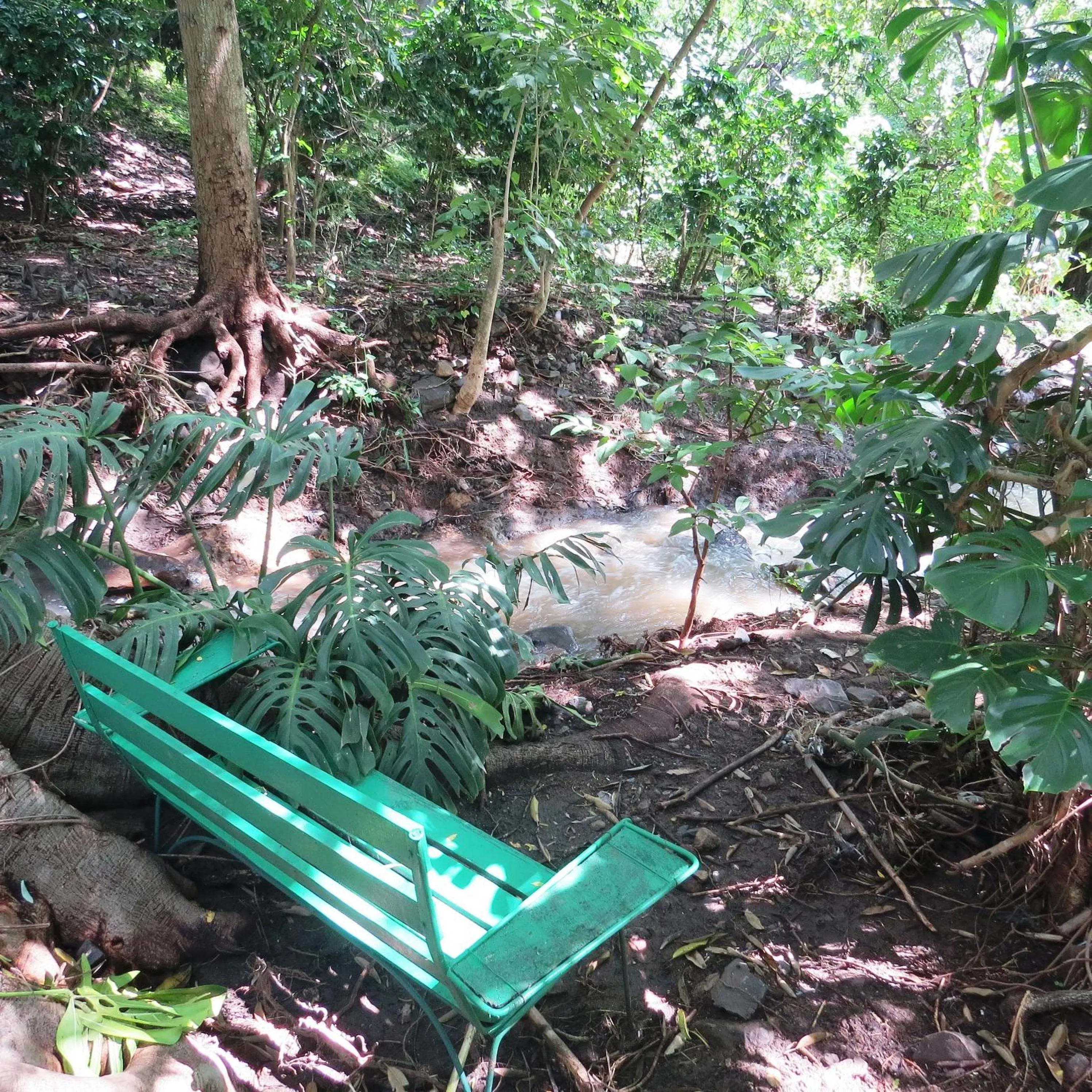 Area and facilities in Hotel Agua Blanca