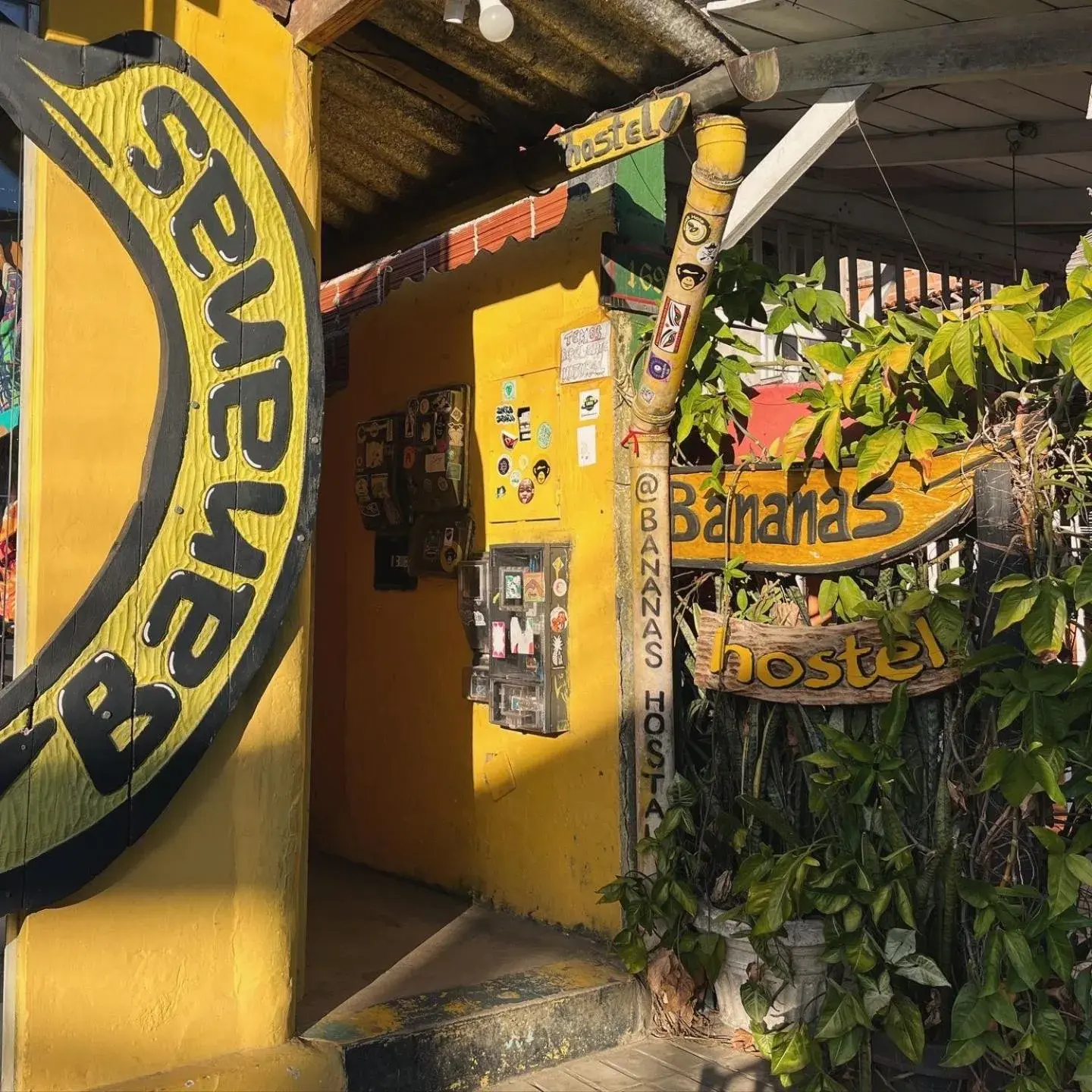 BANANAS HOSTEL BANANAS HOSTEL