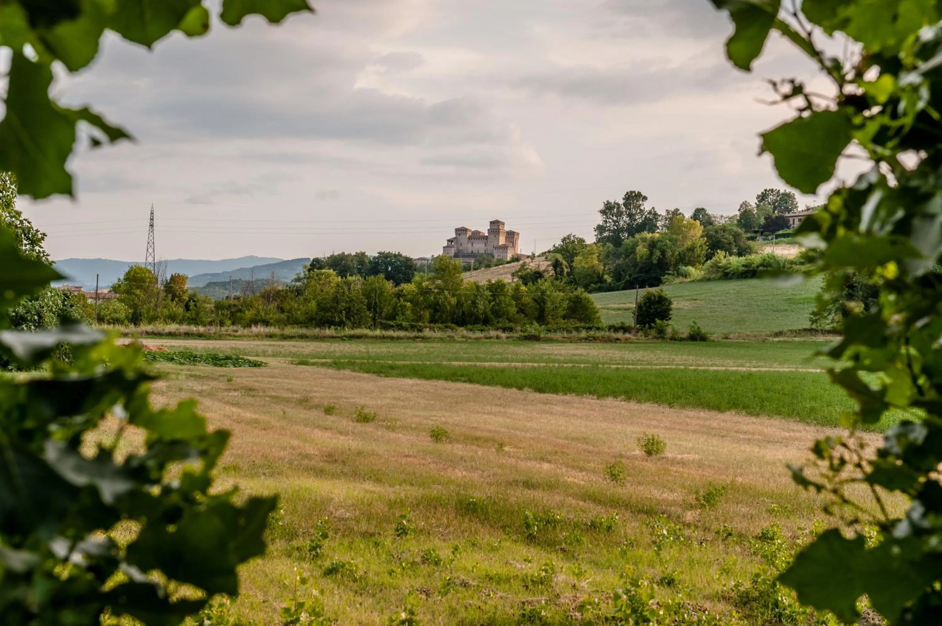 Garden view, Garden in B&B Torrechiara