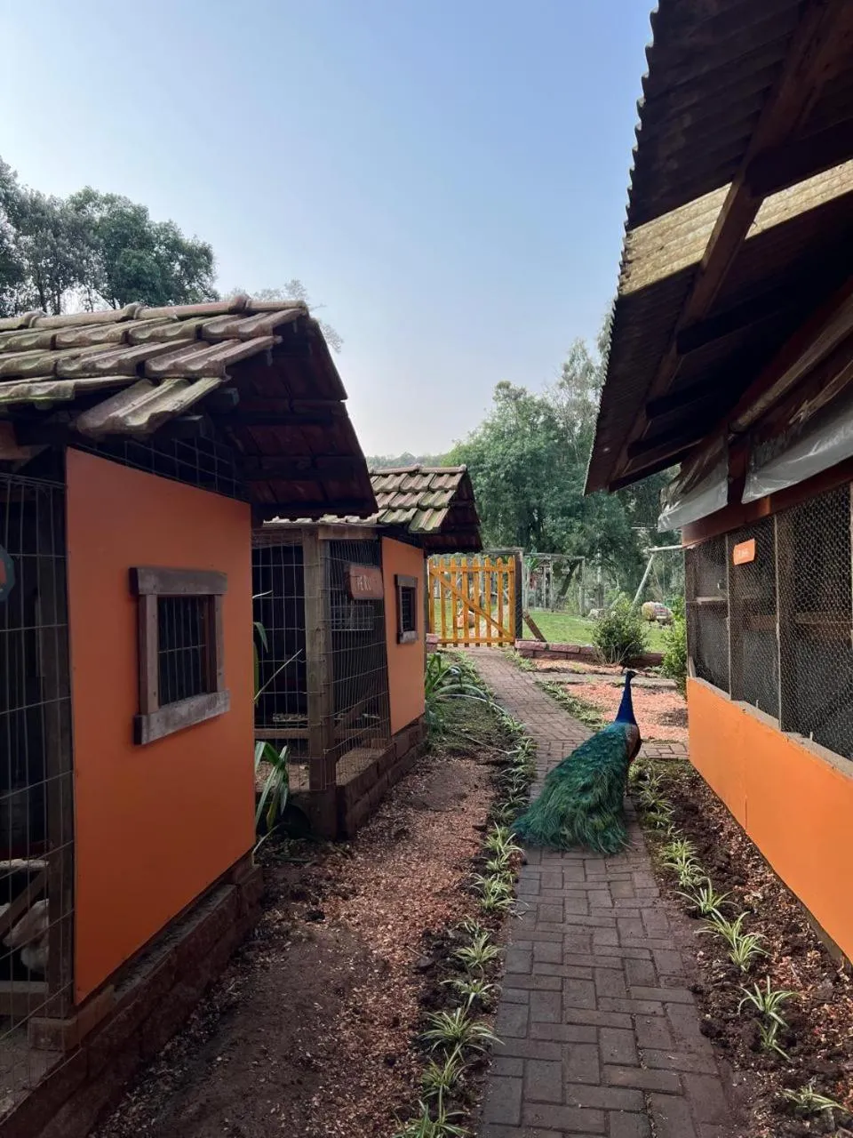 Garden in Pousada Maibe Amanhecer na Serra